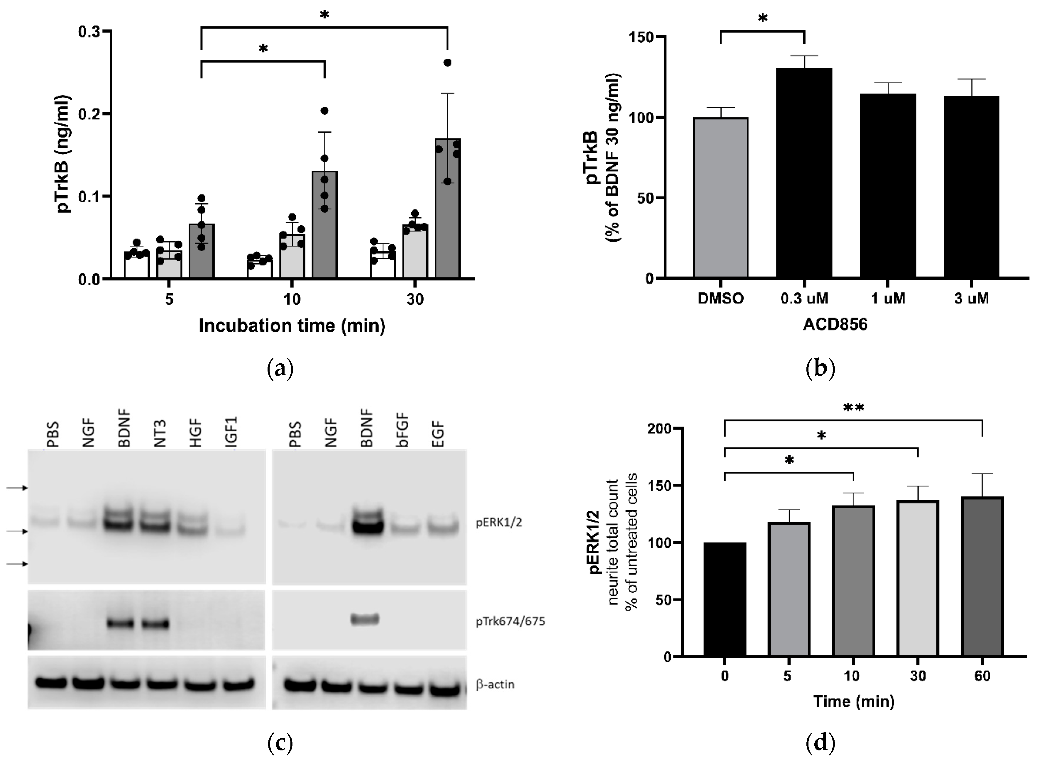 Preprints 76013 g002