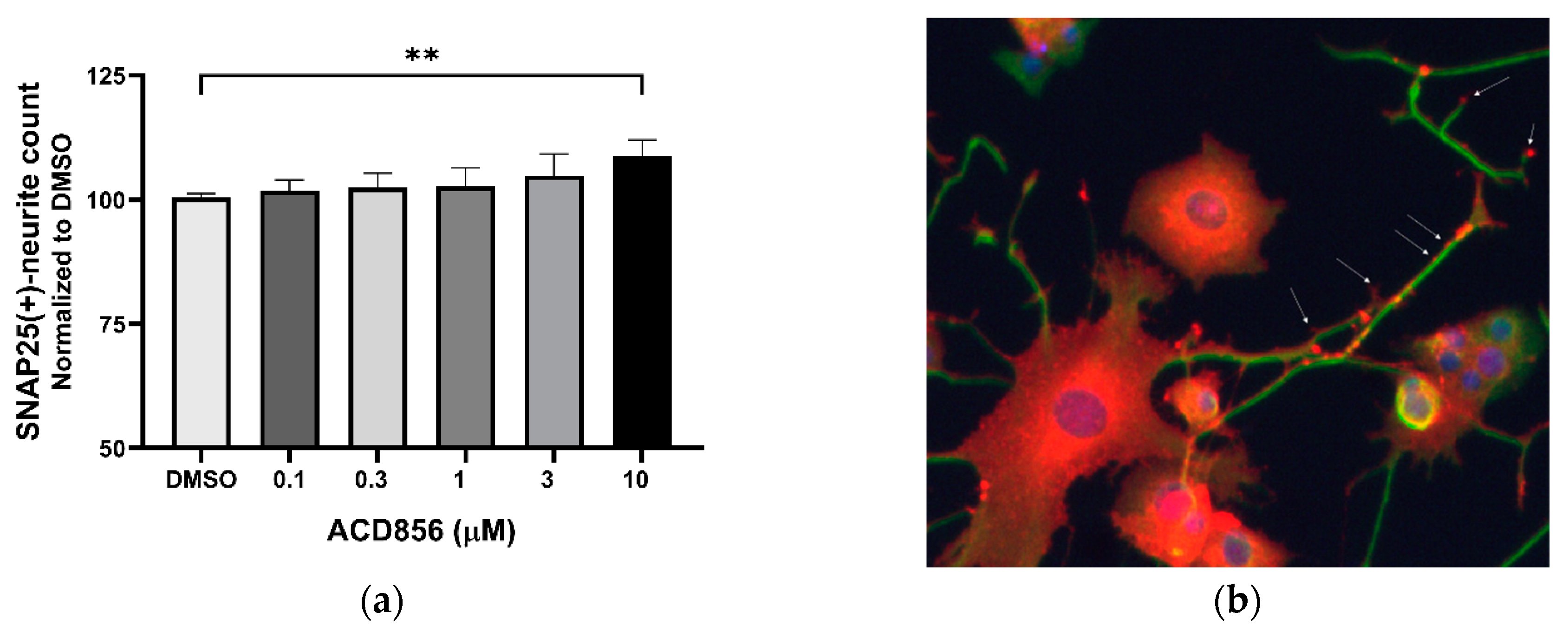 Preprints 76013 g004