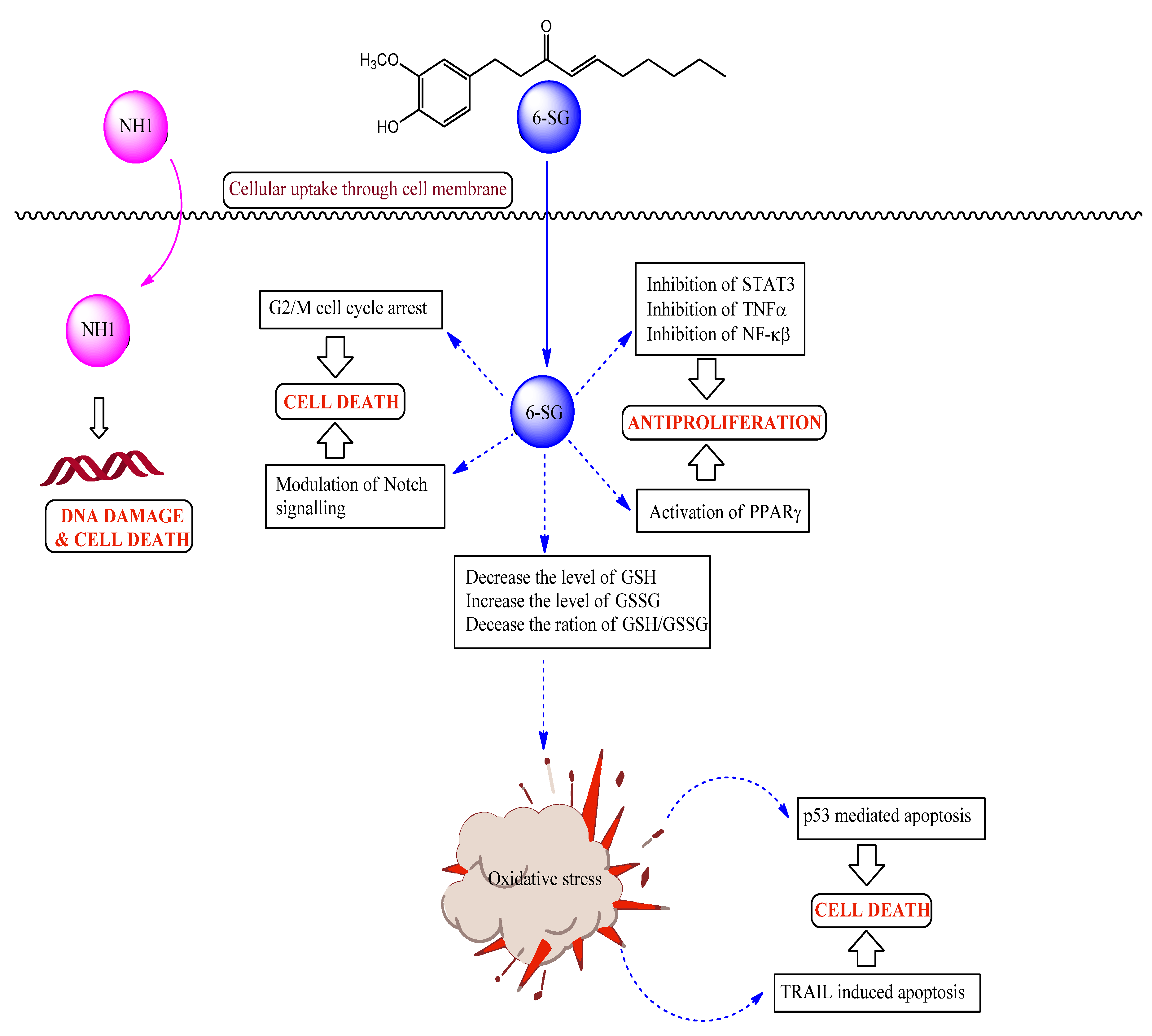 Preprints 81551 g003