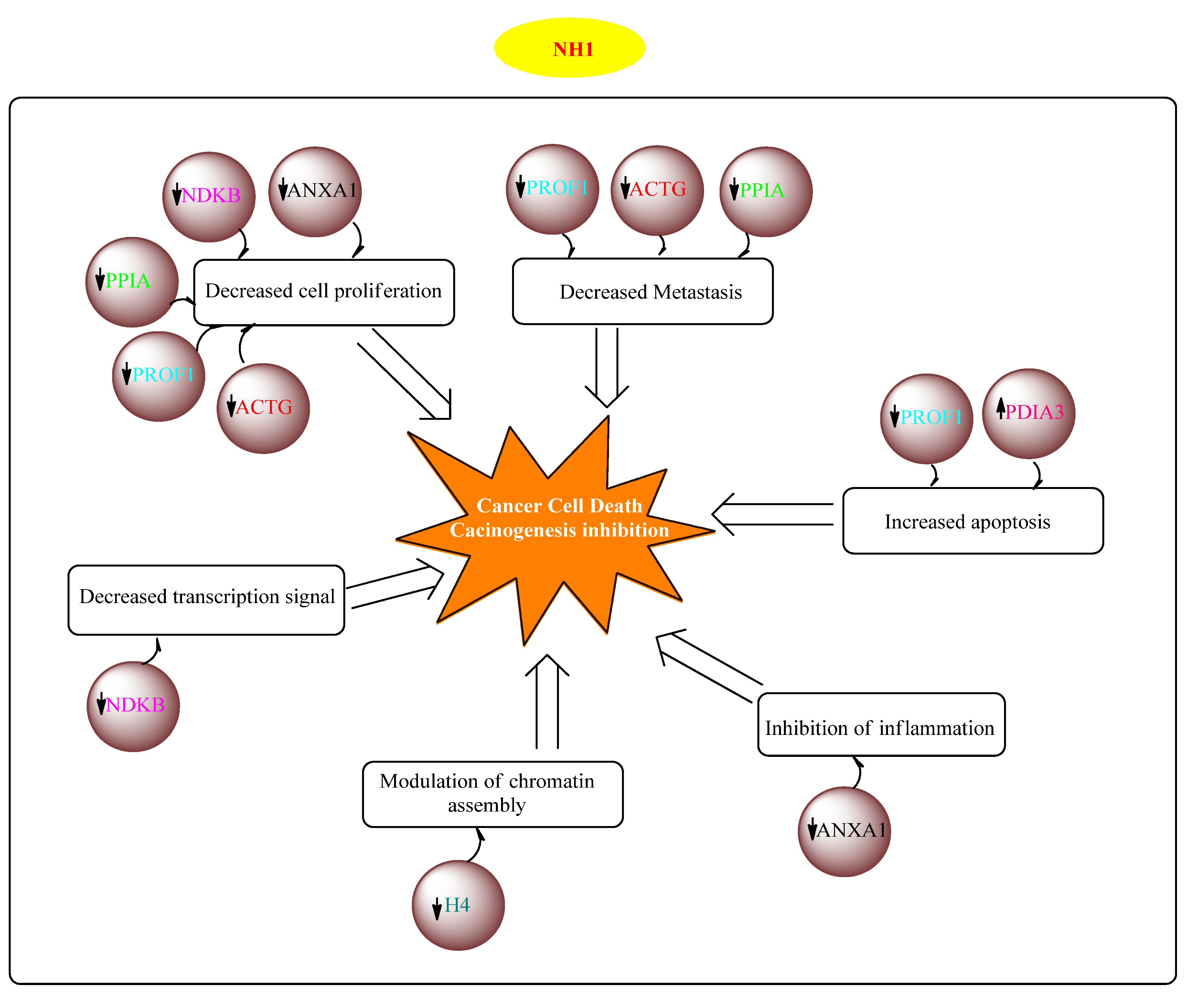 Preprints 81551 g004