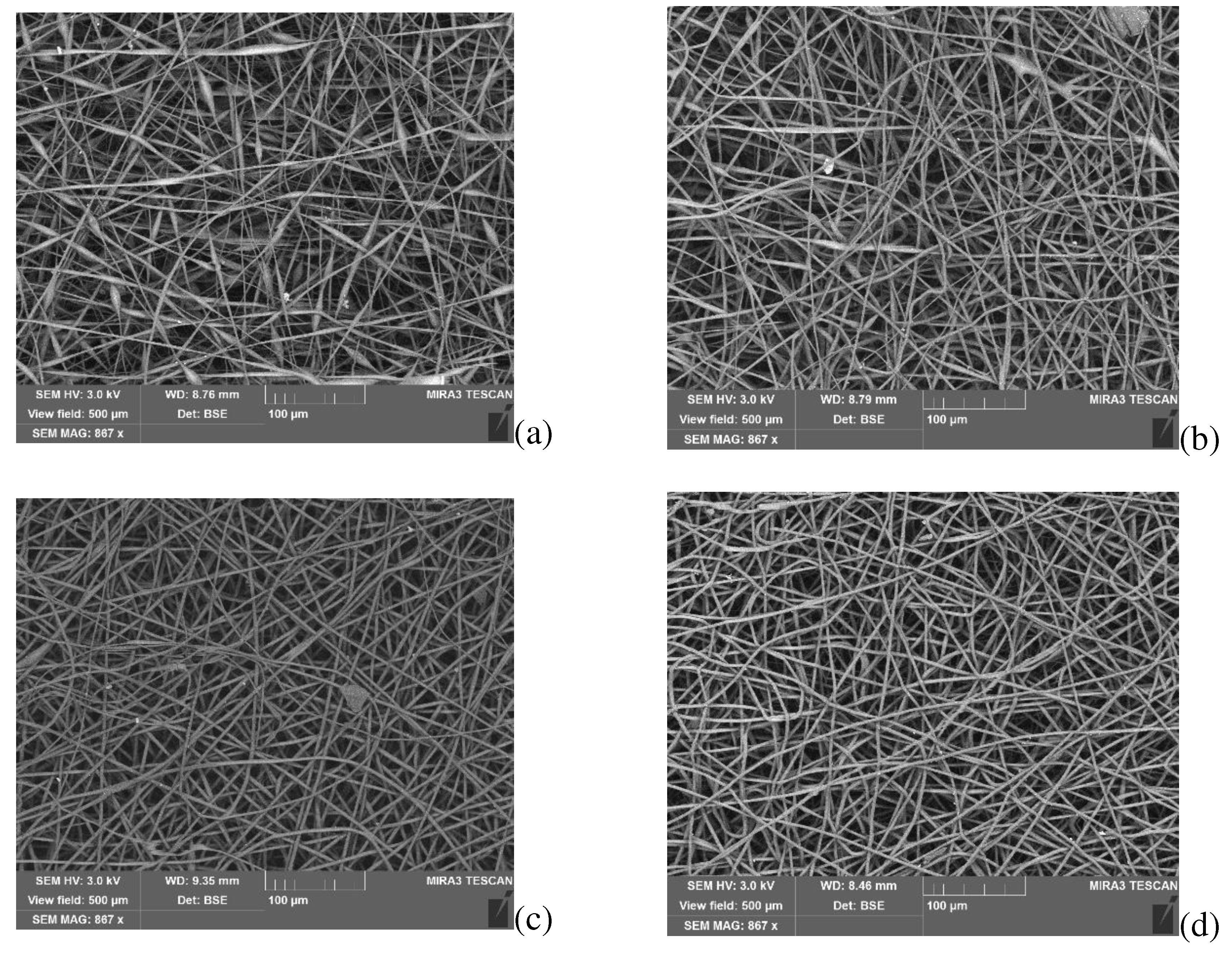 Preprints 81285 g010