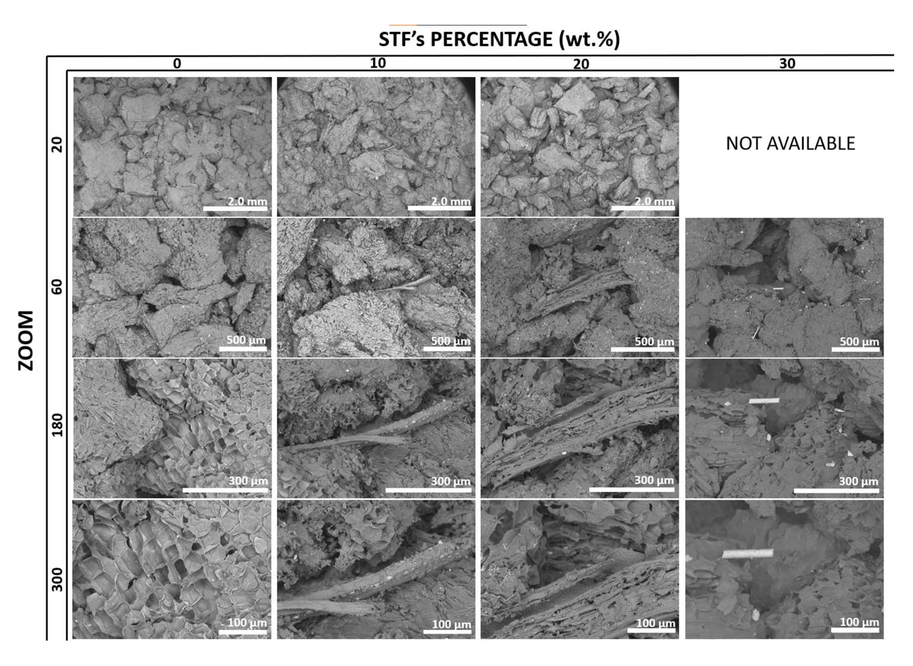 Preprints 70128 g007