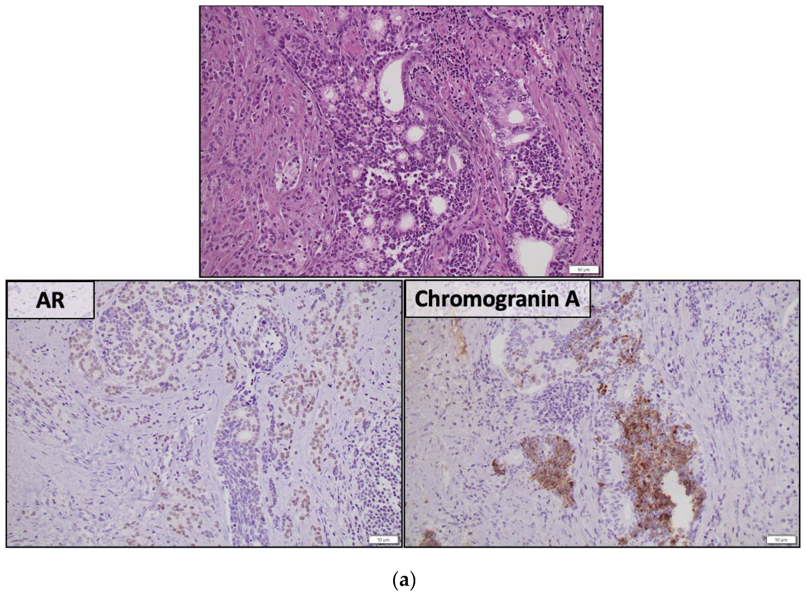 Preprints 96600 g001a