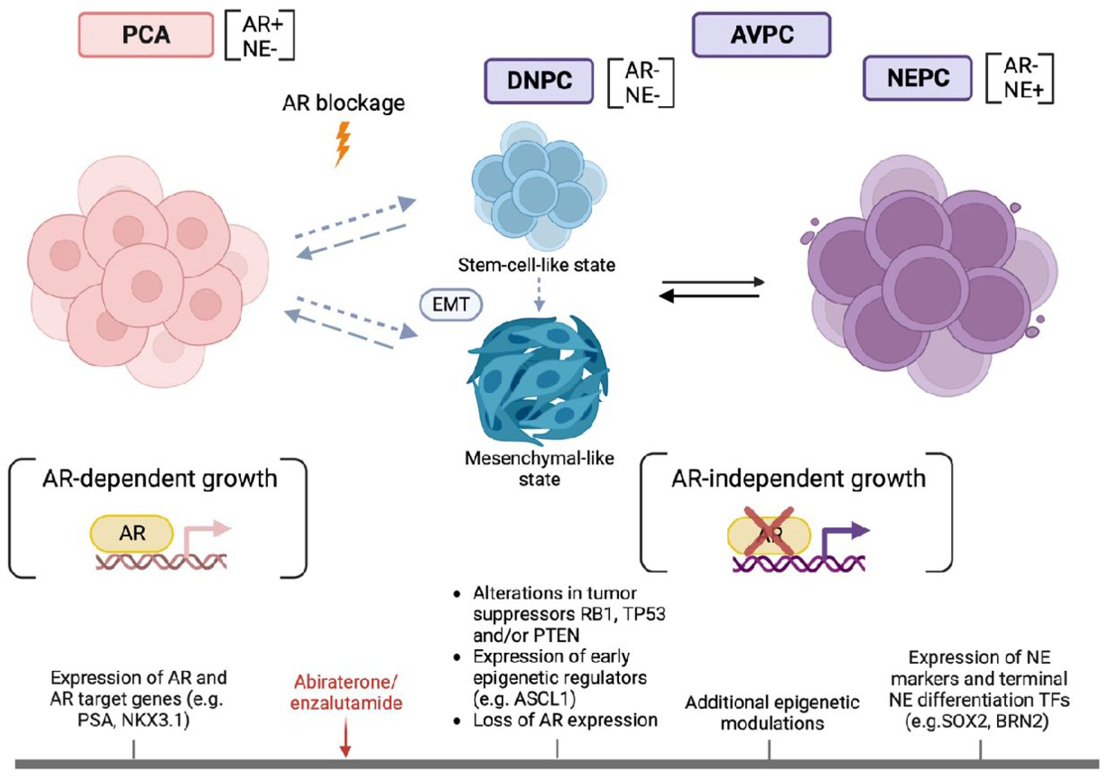 Preprints 96600 g002