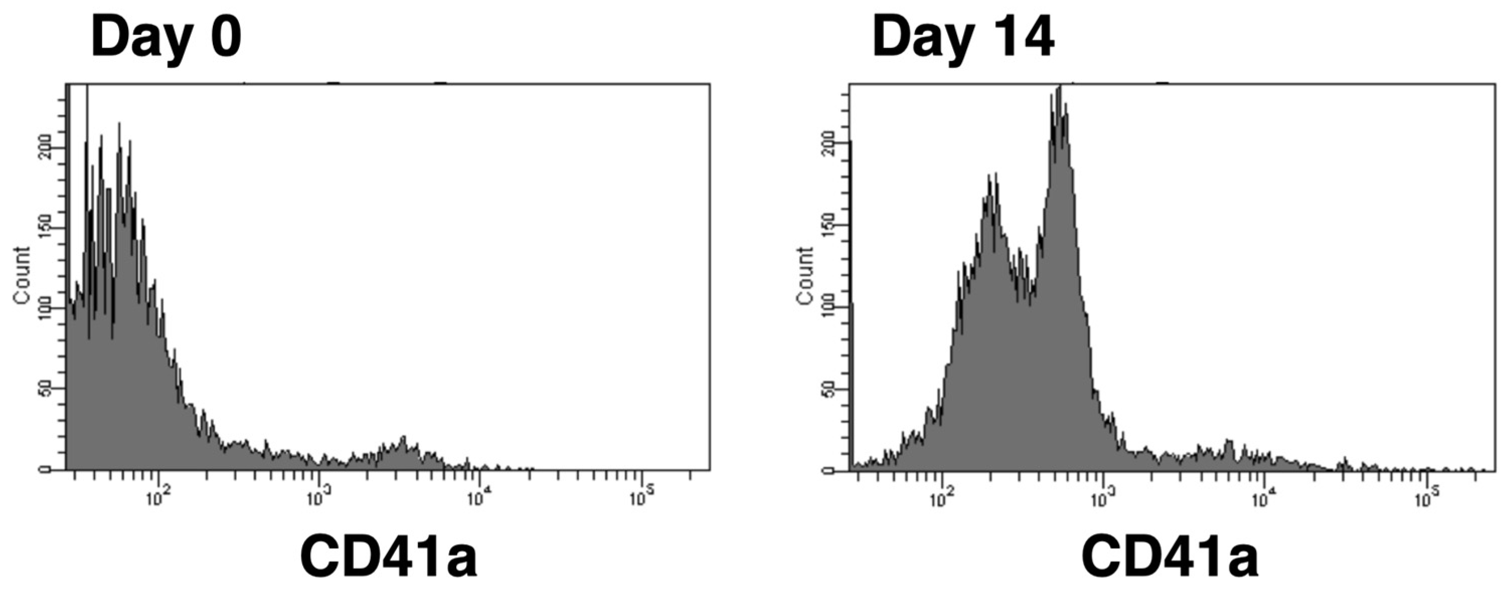 Preprints 78628 g001