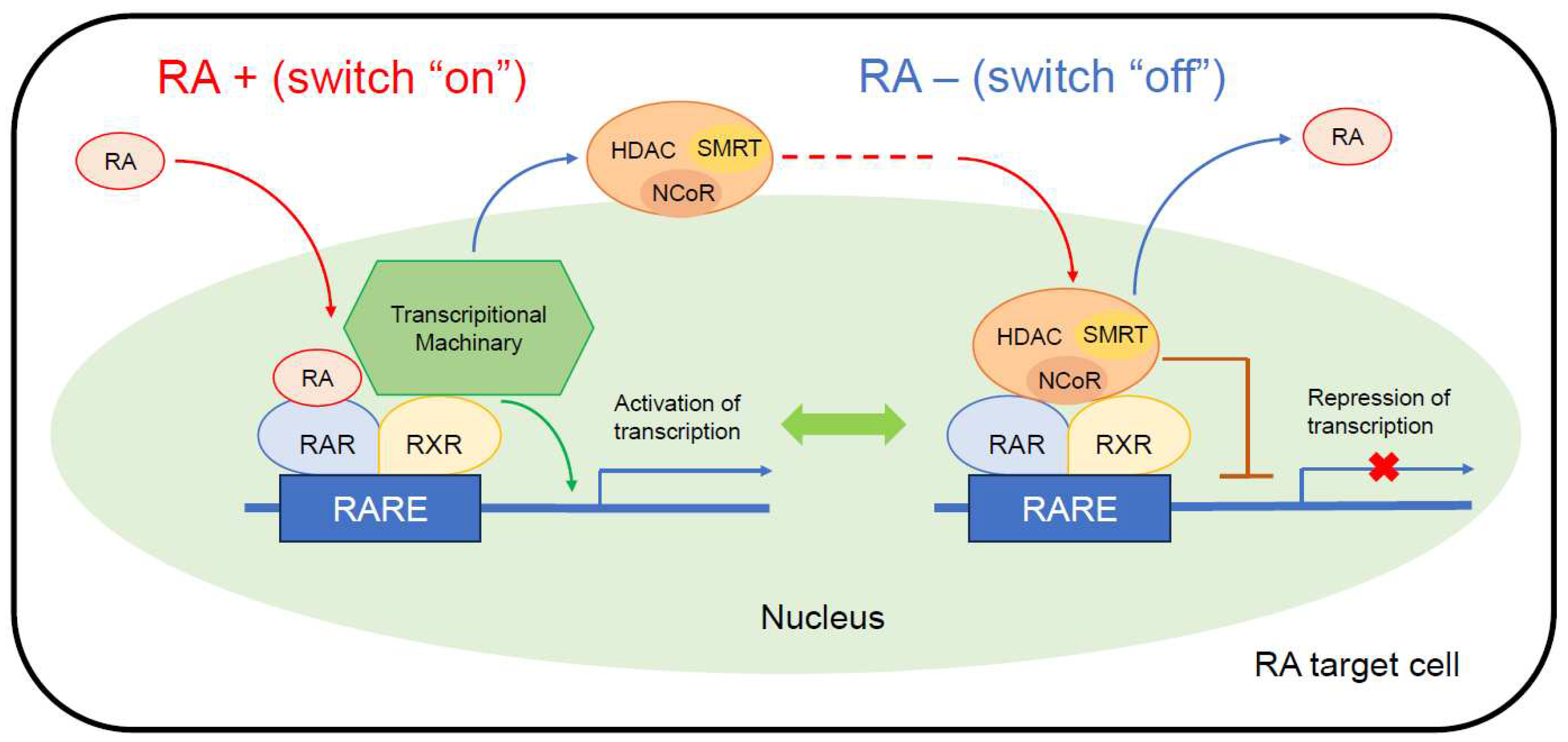 Preprints 90511 g002