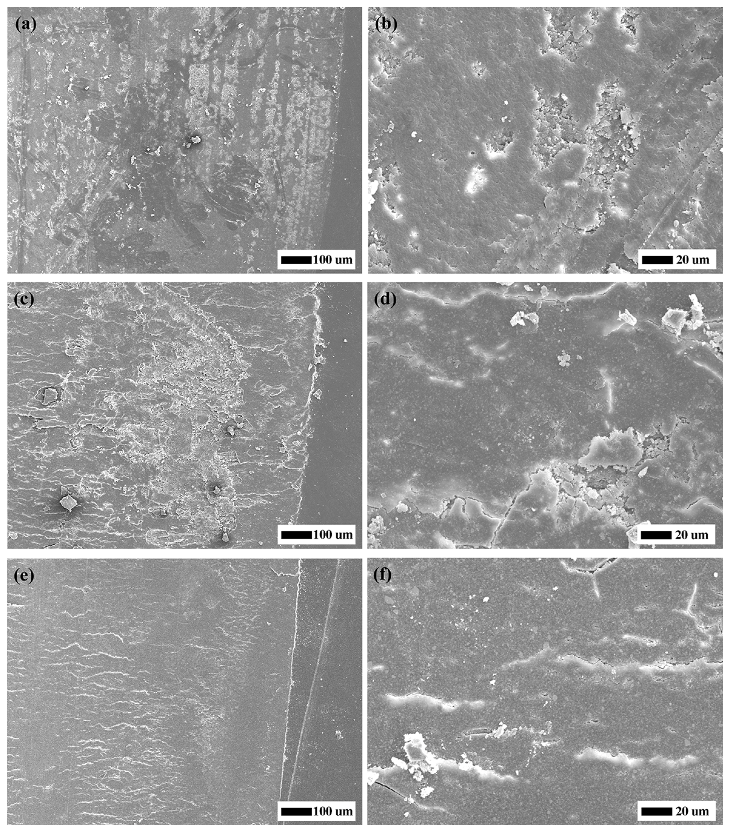 Preprints 100022 g002