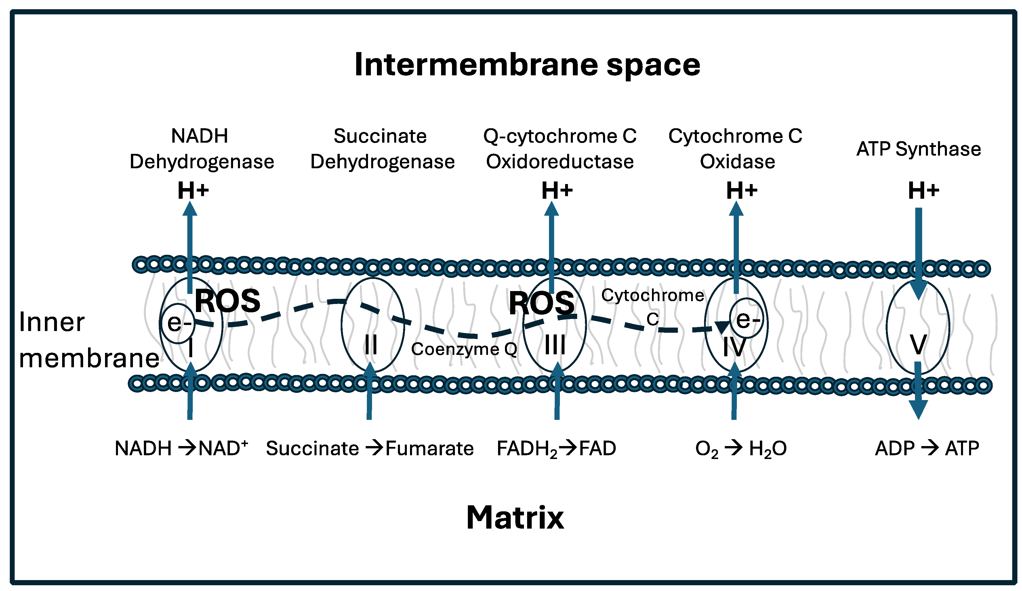 Preprints 109443 g001