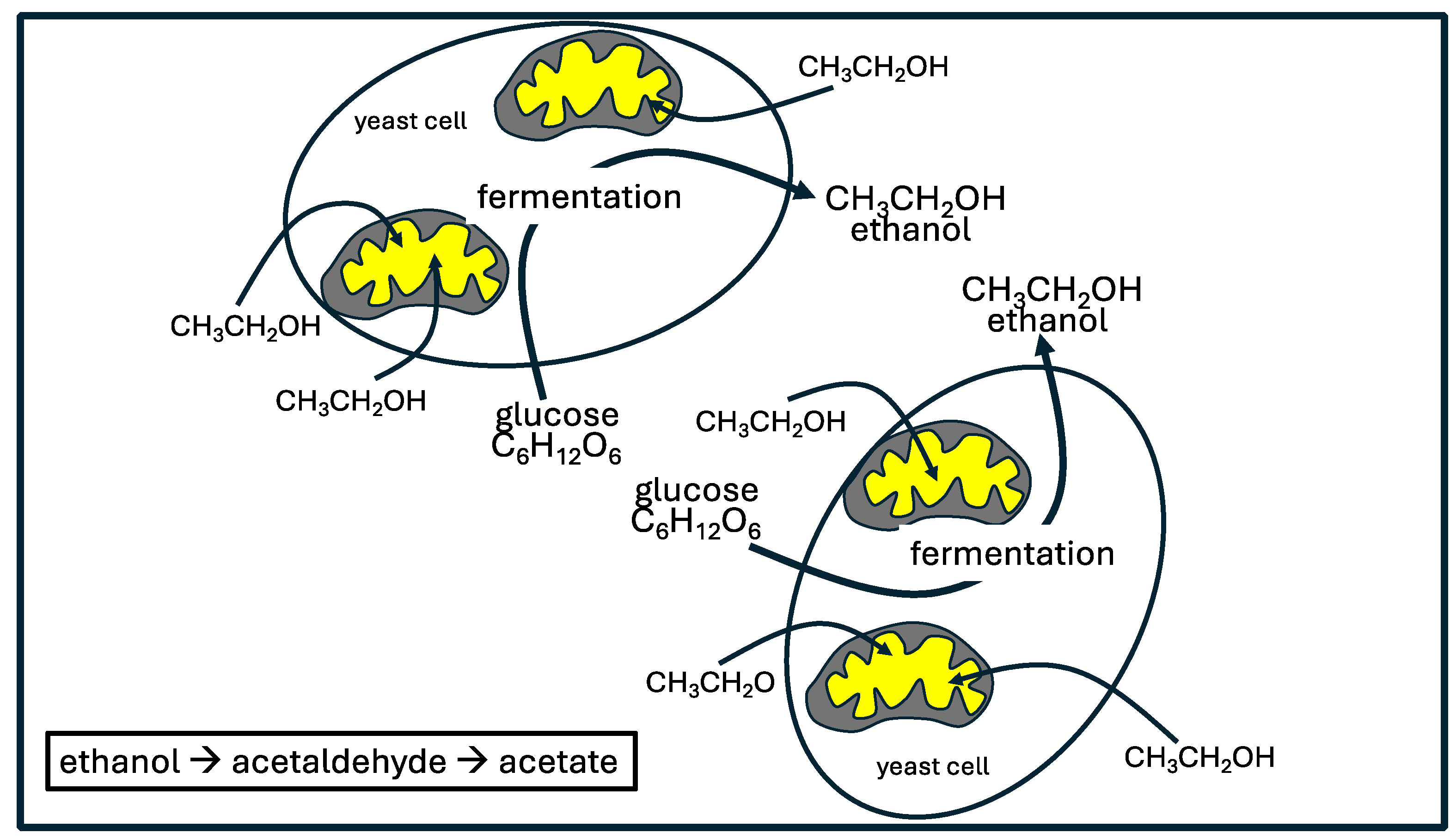 Preprints 109443 g003