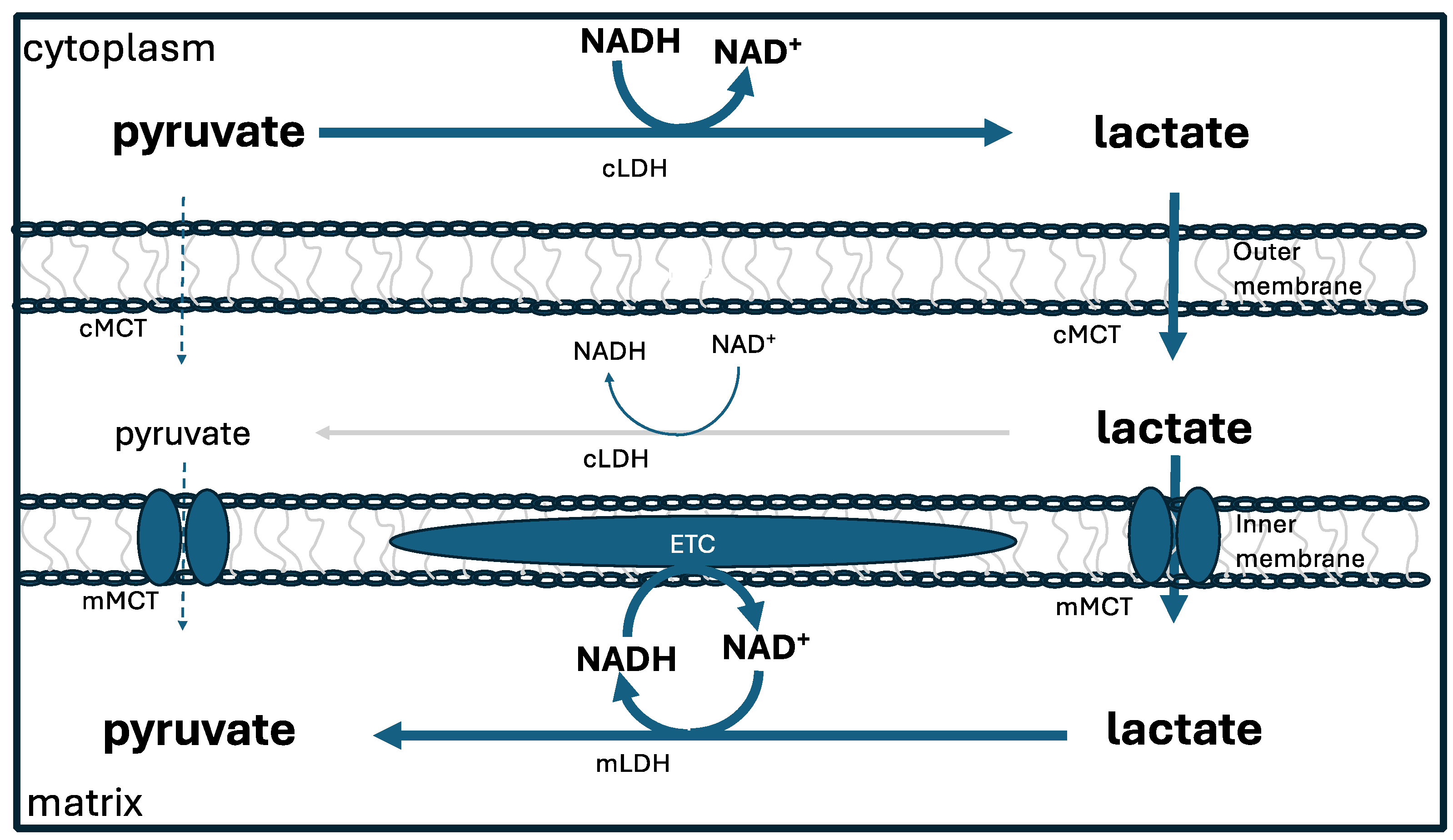 Preprints 109443 g004