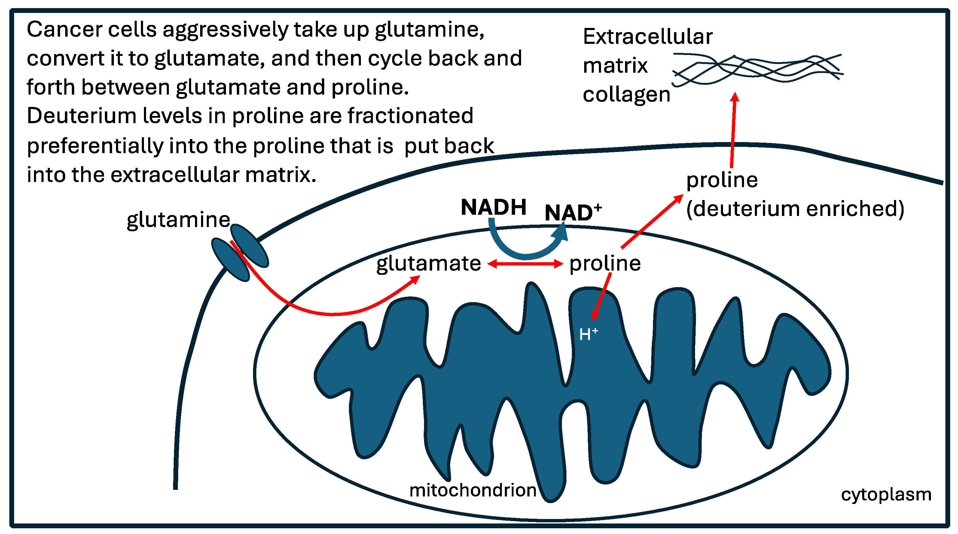 Preprints 109443 g005