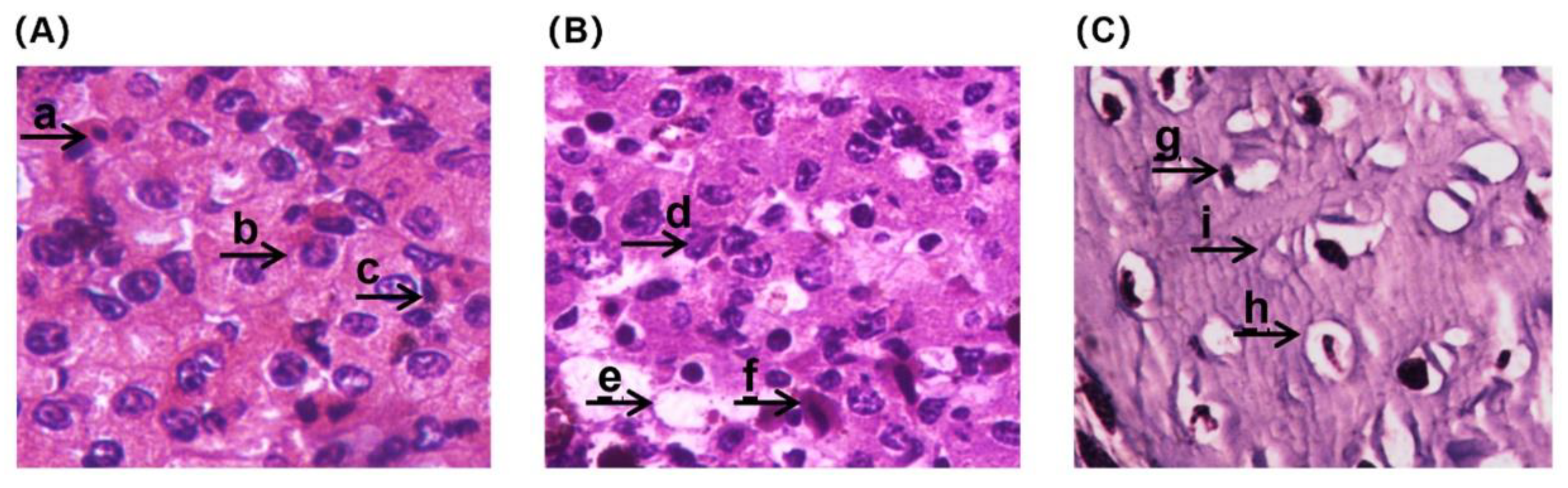 Preprints 87671 g004