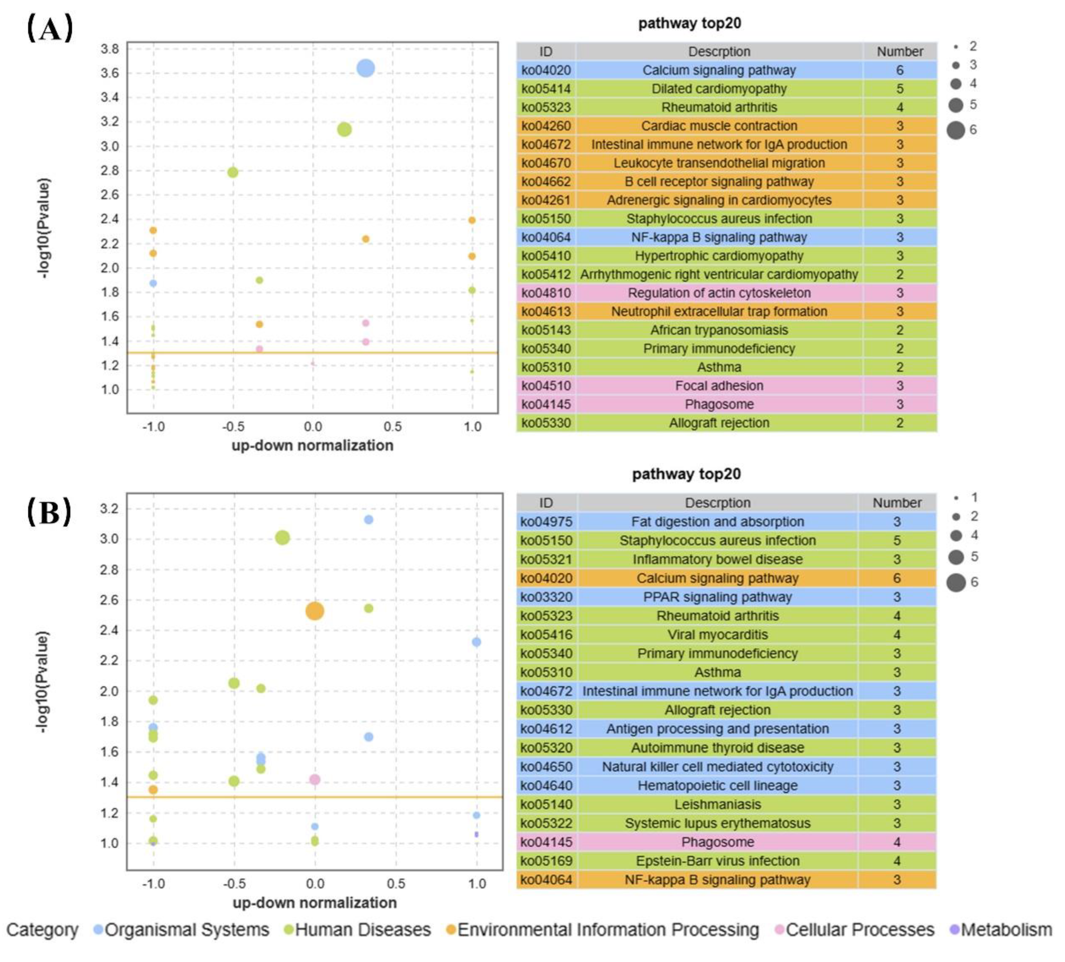 Preprints 87671 g007