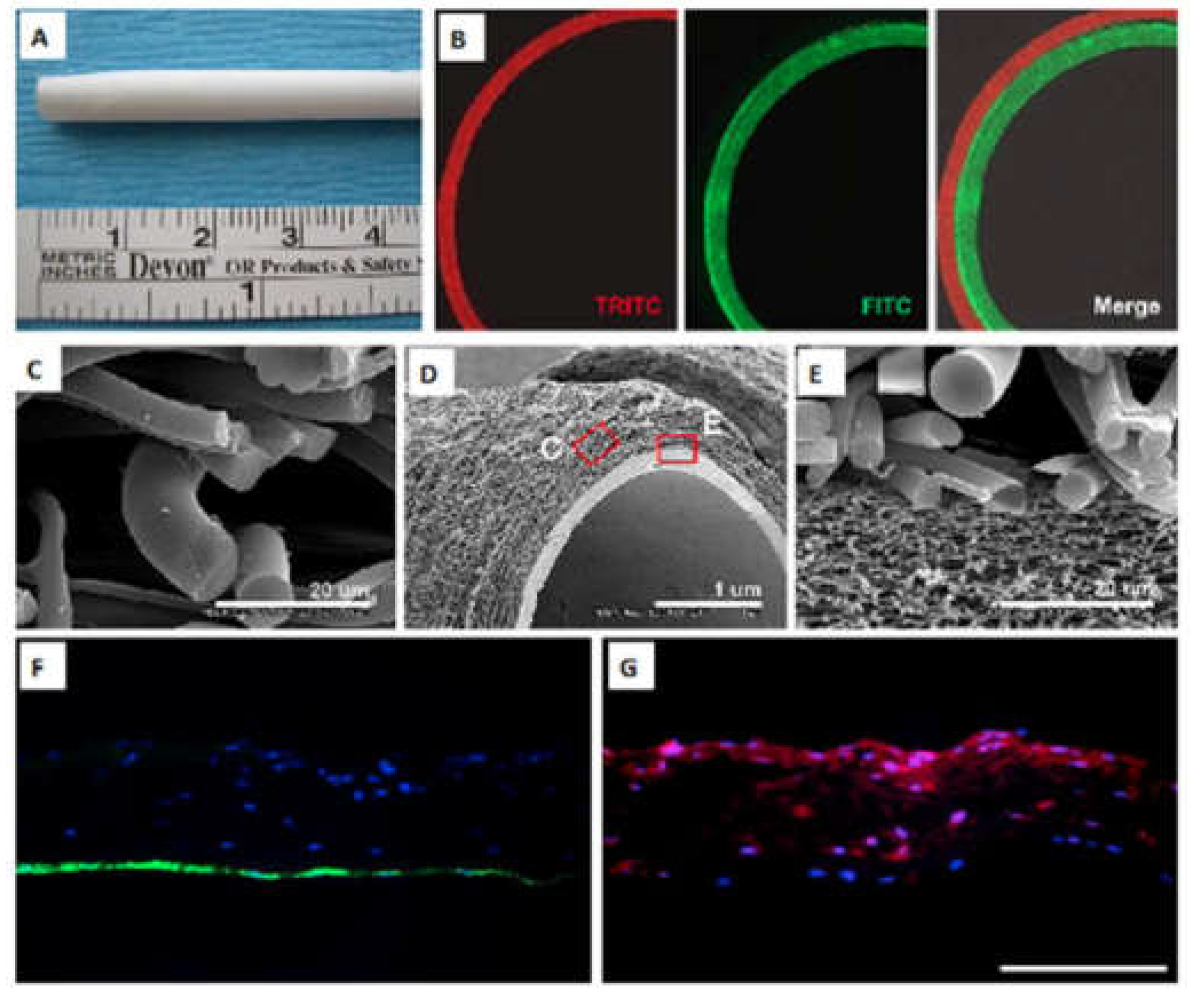 Preprints 73220 g003