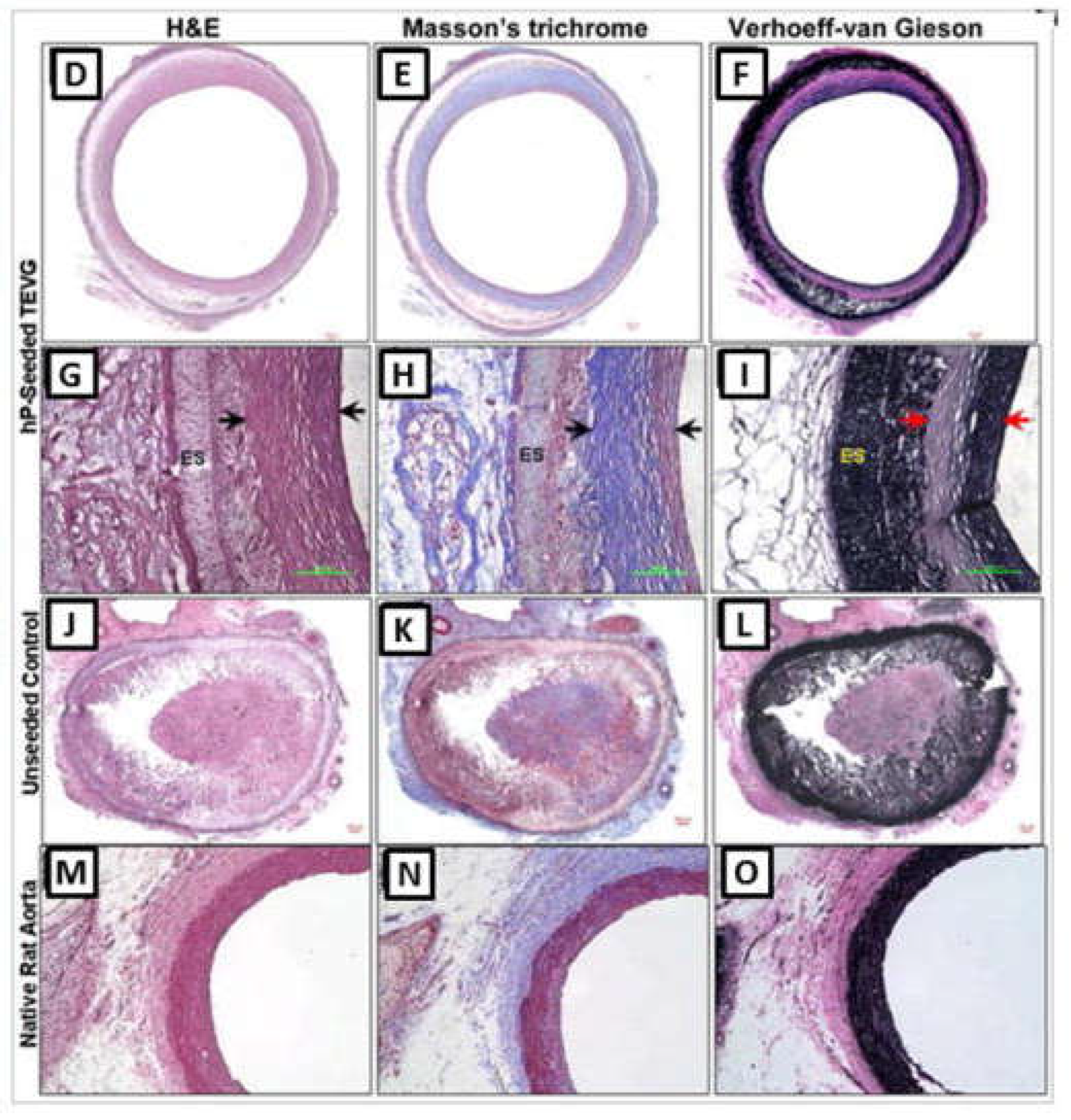 Preprints 73220 g006