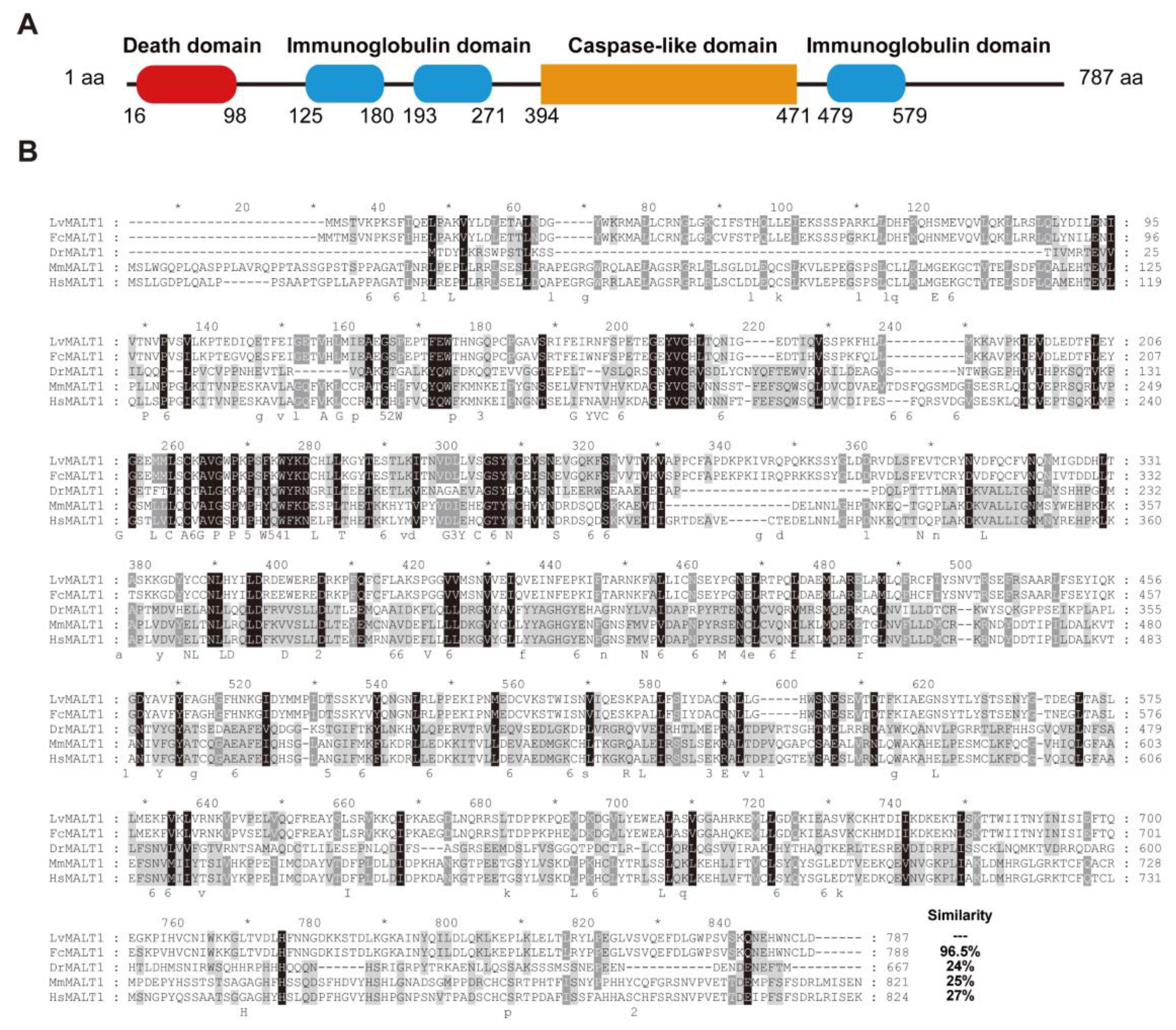 Preprints 90783 g001