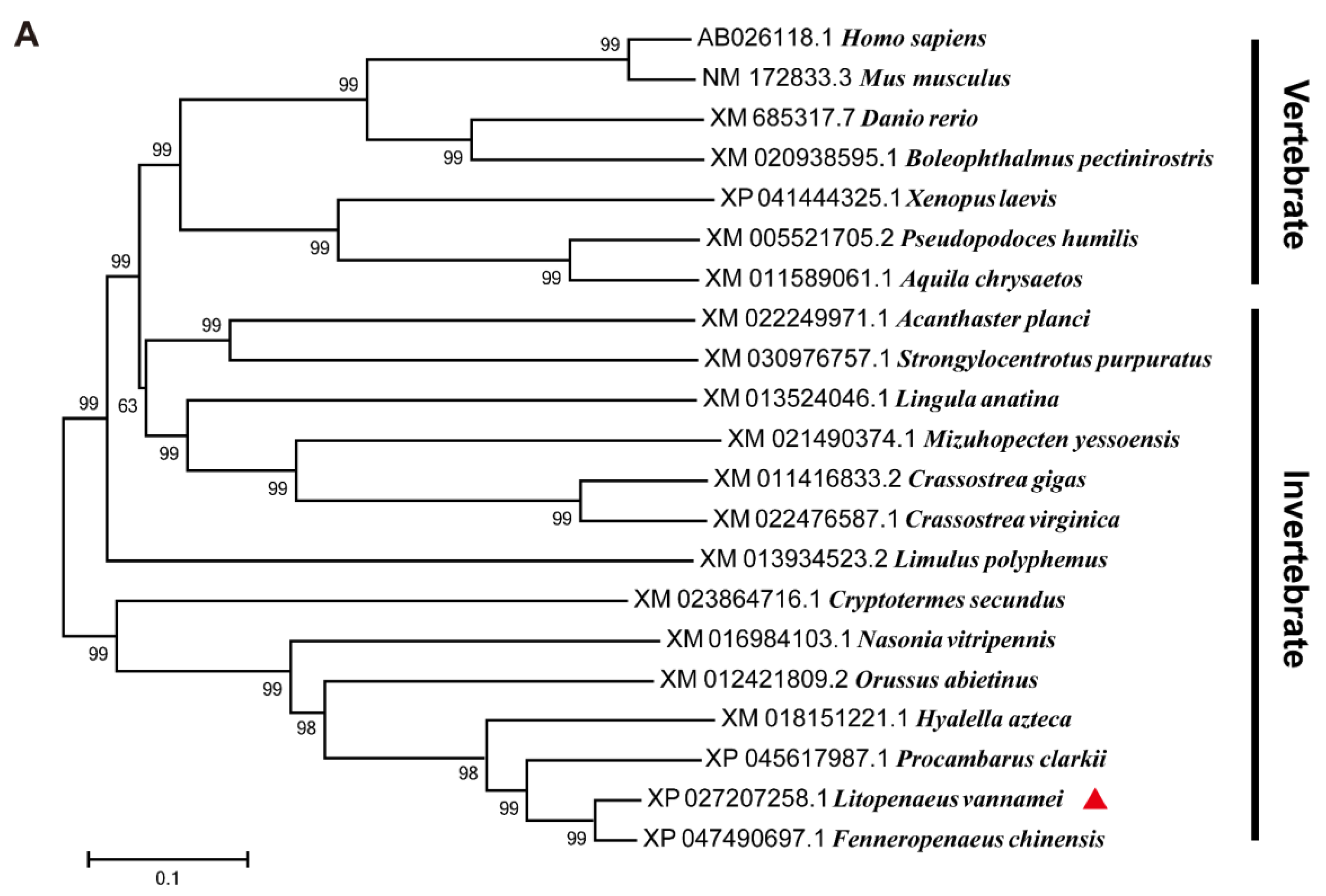 Preprints 90783 g002