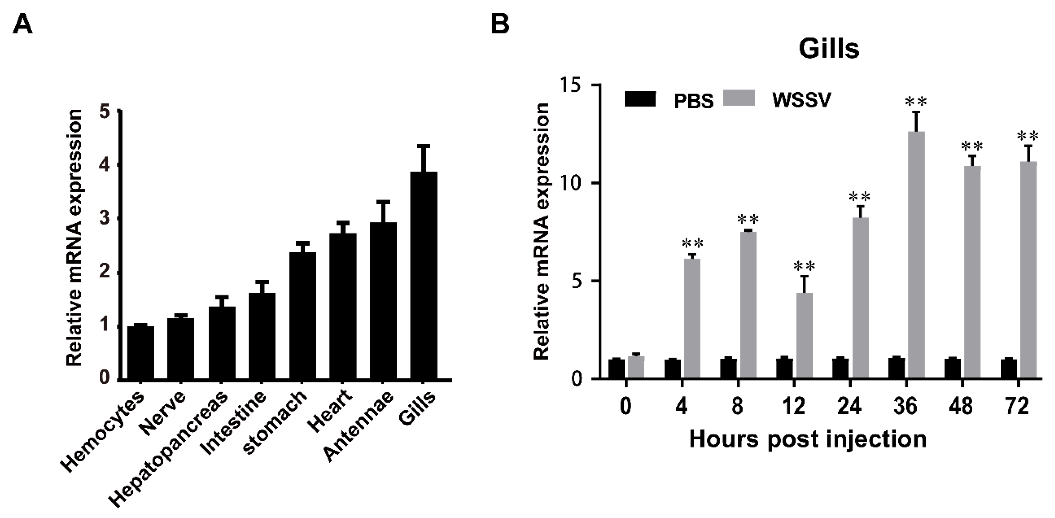 Preprints 90783 g003