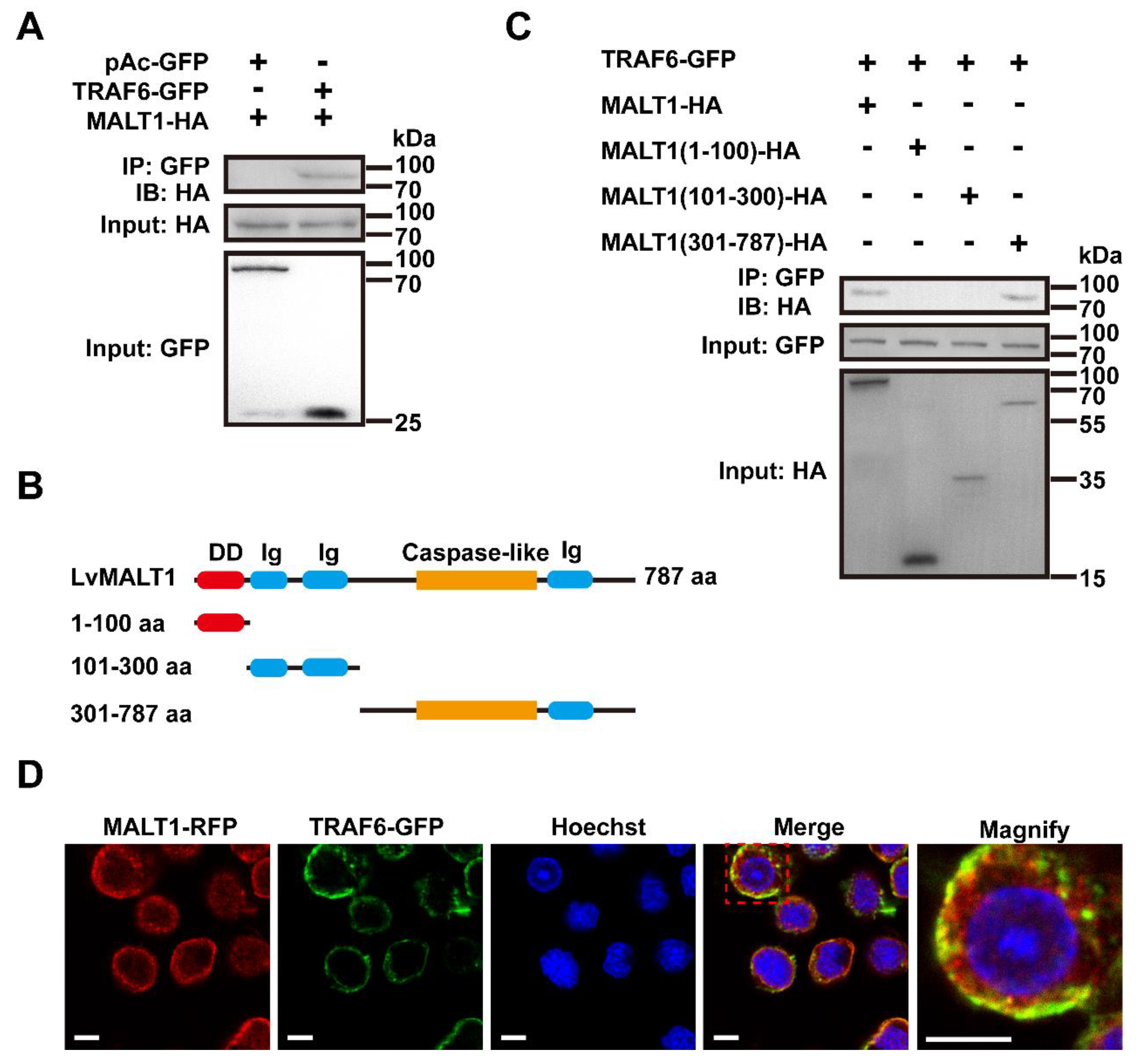 Preprints 90783 g004