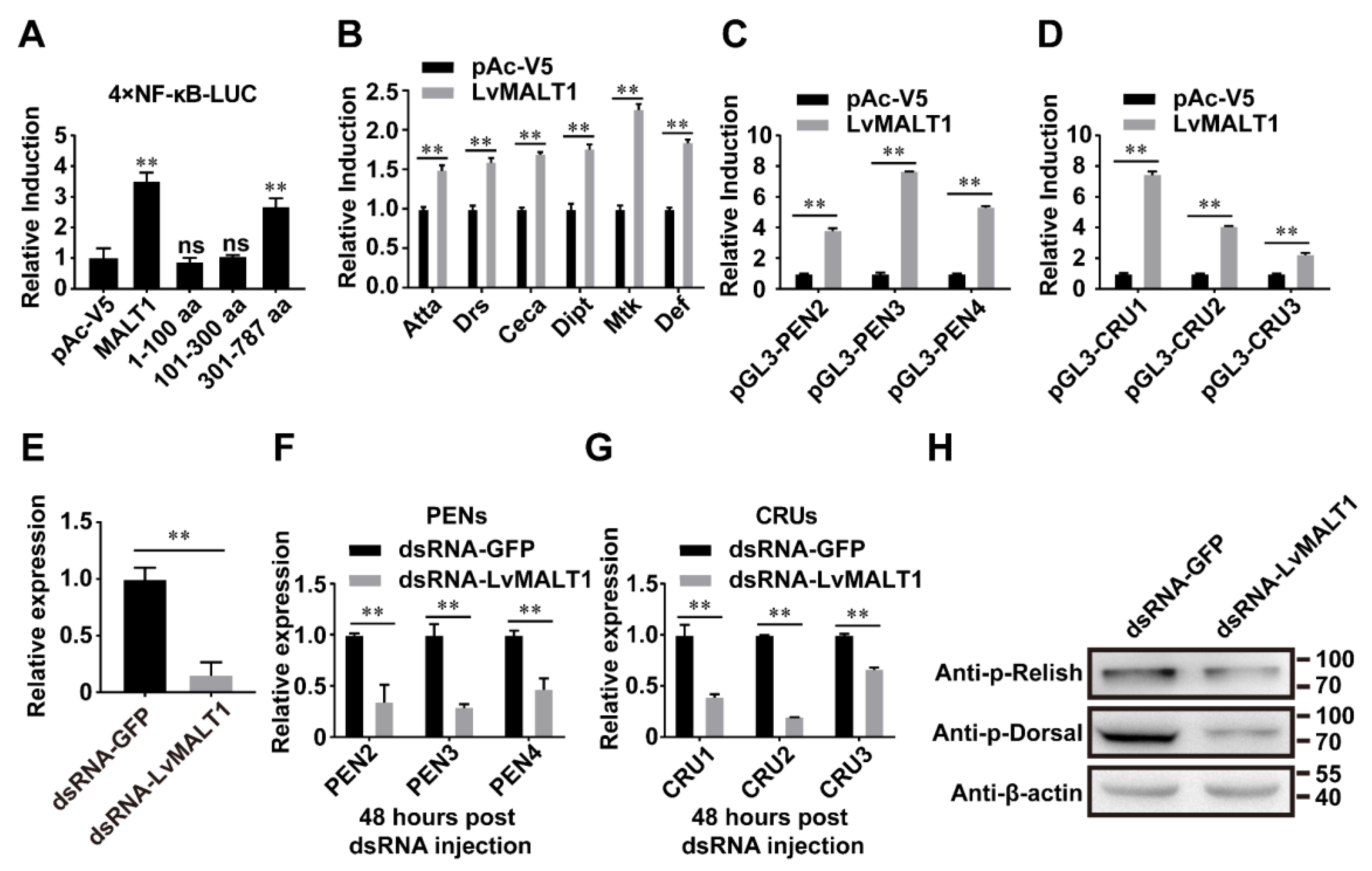 Preprints 90783 g005