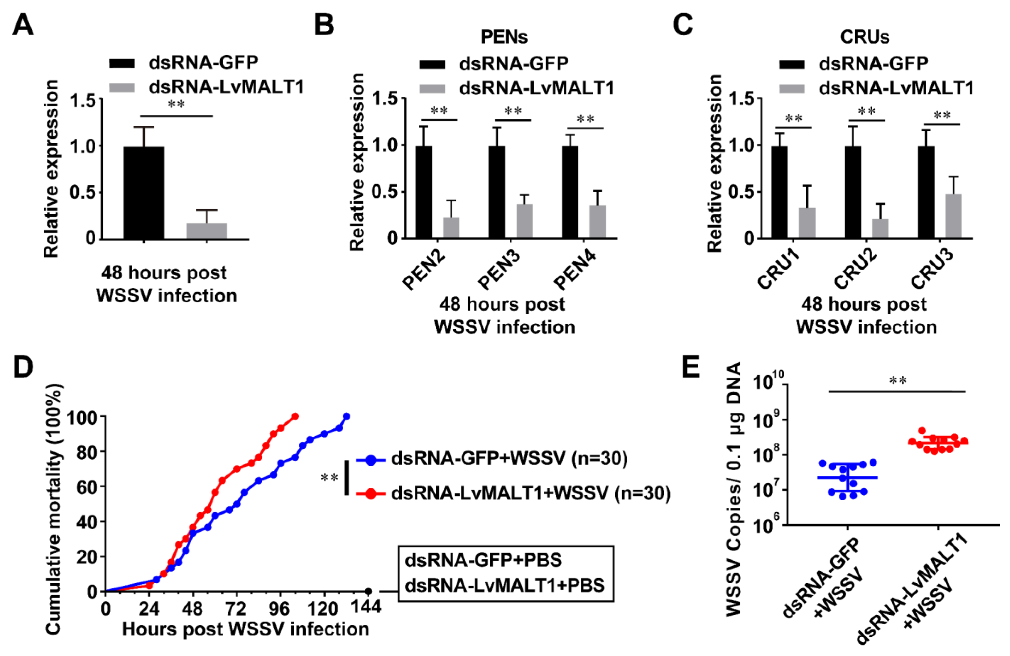 Preprints 90783 g006