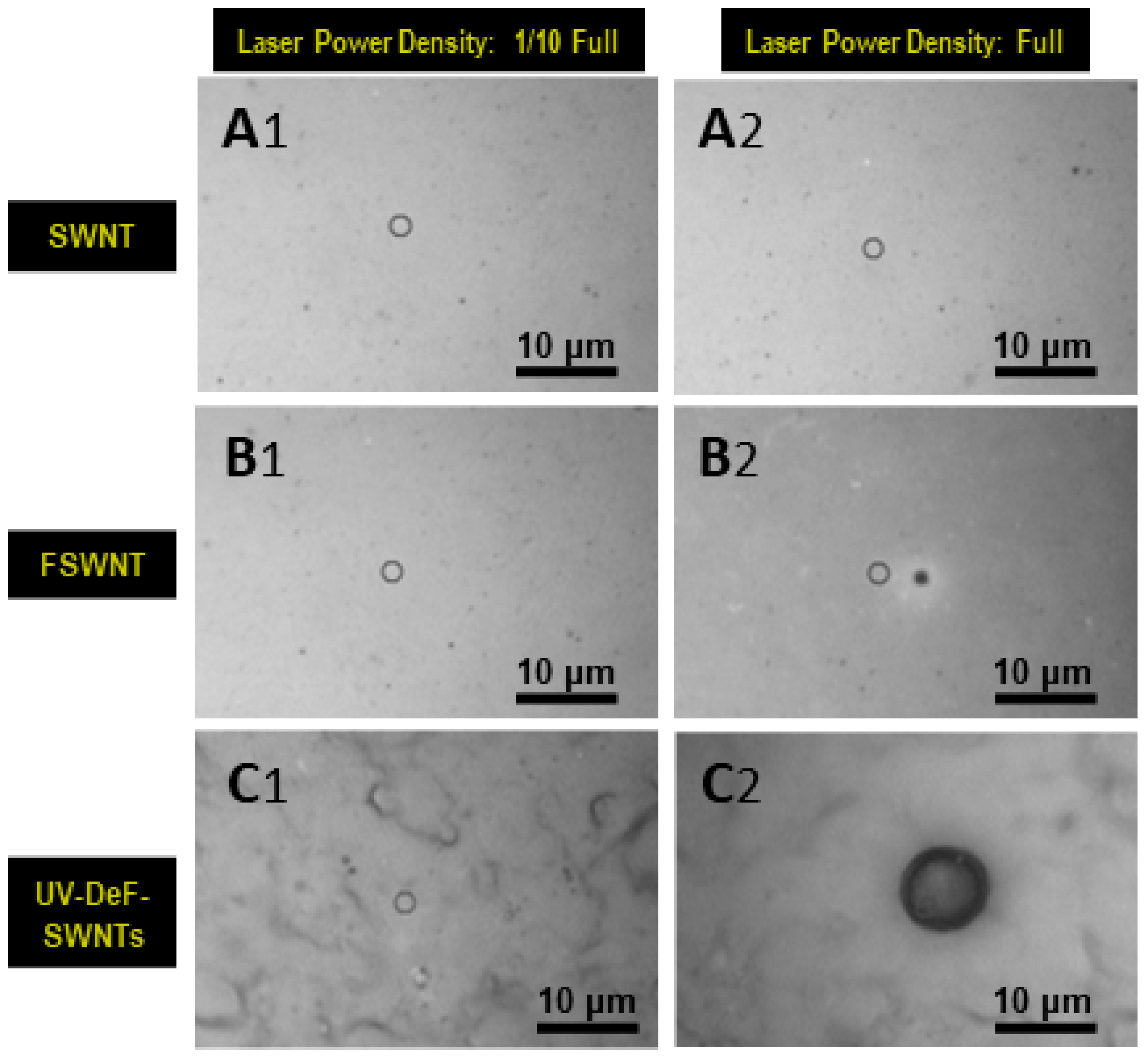 Preprints 114325 g005