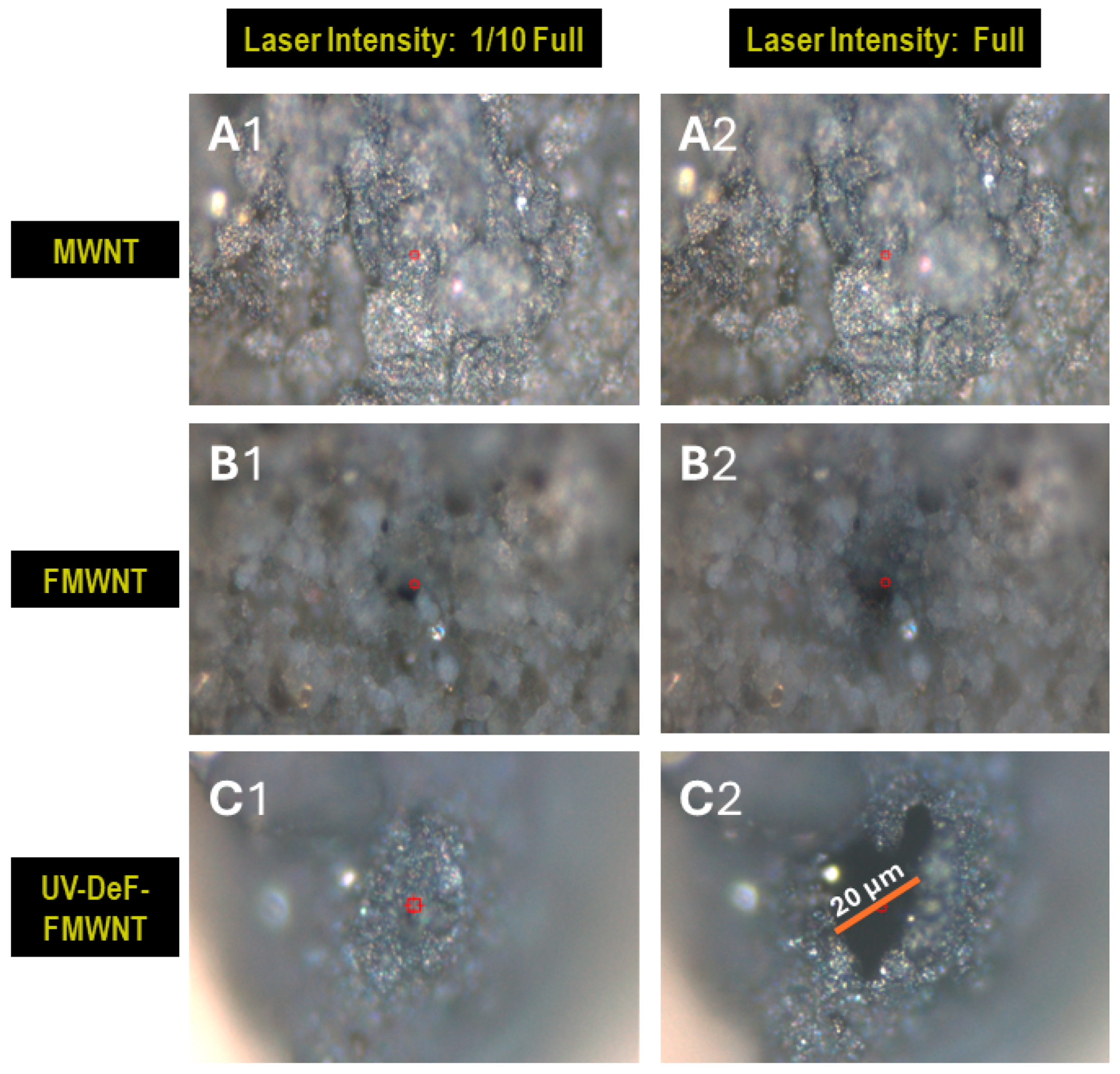 Preprints 114325 g007