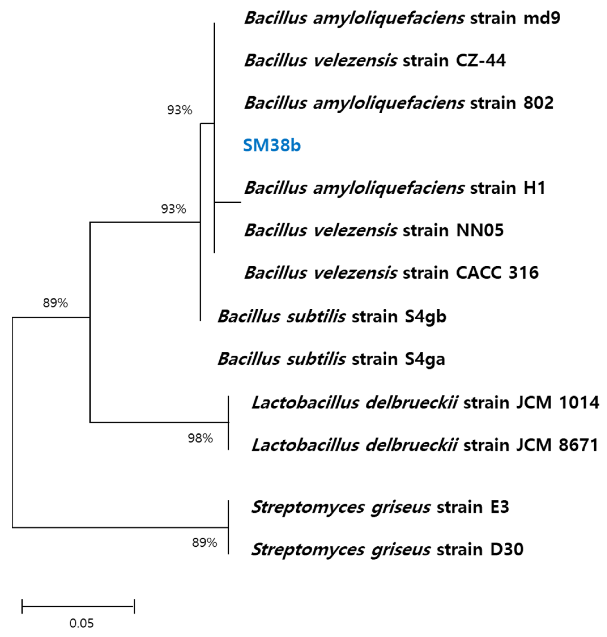 Preprints 104214 g001