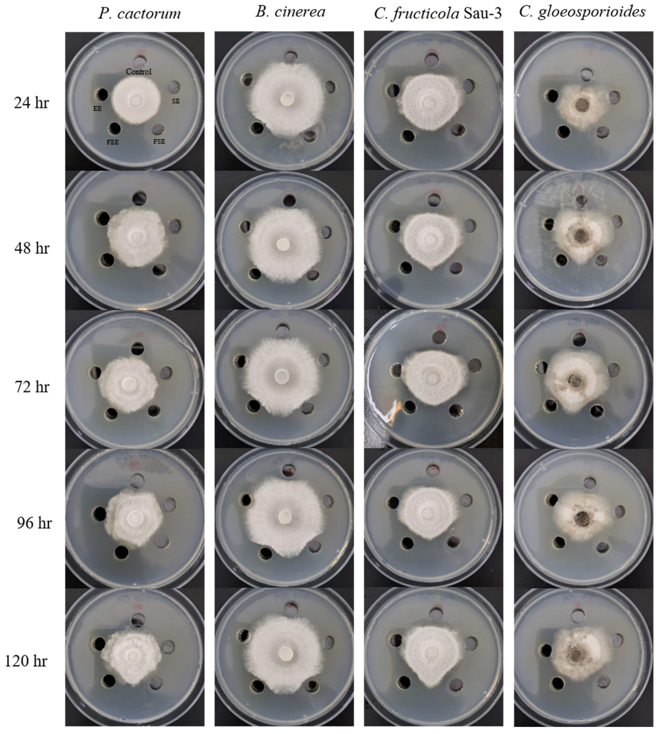 Preprints 104214 g002