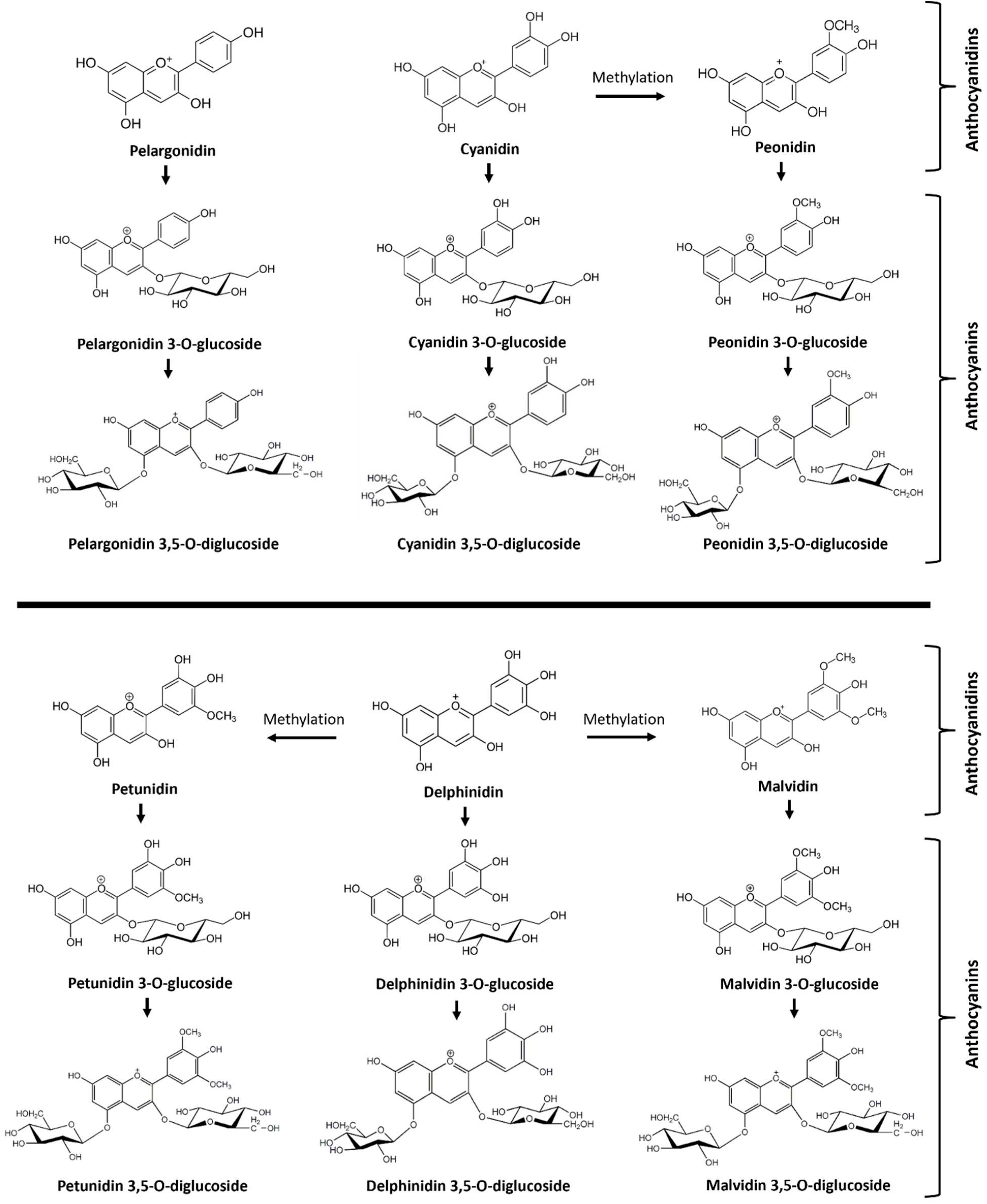 Preprints 97939 g001