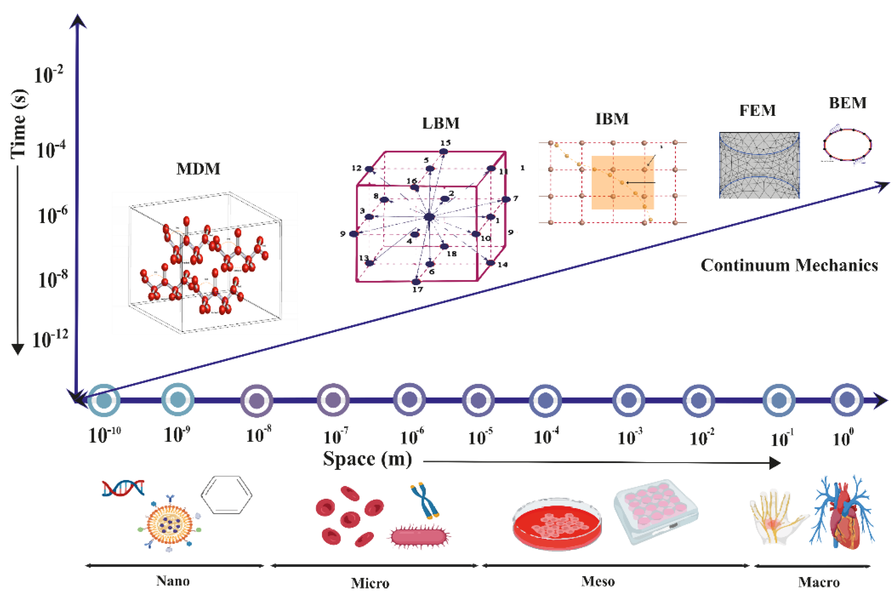 Preprints 108025 g007