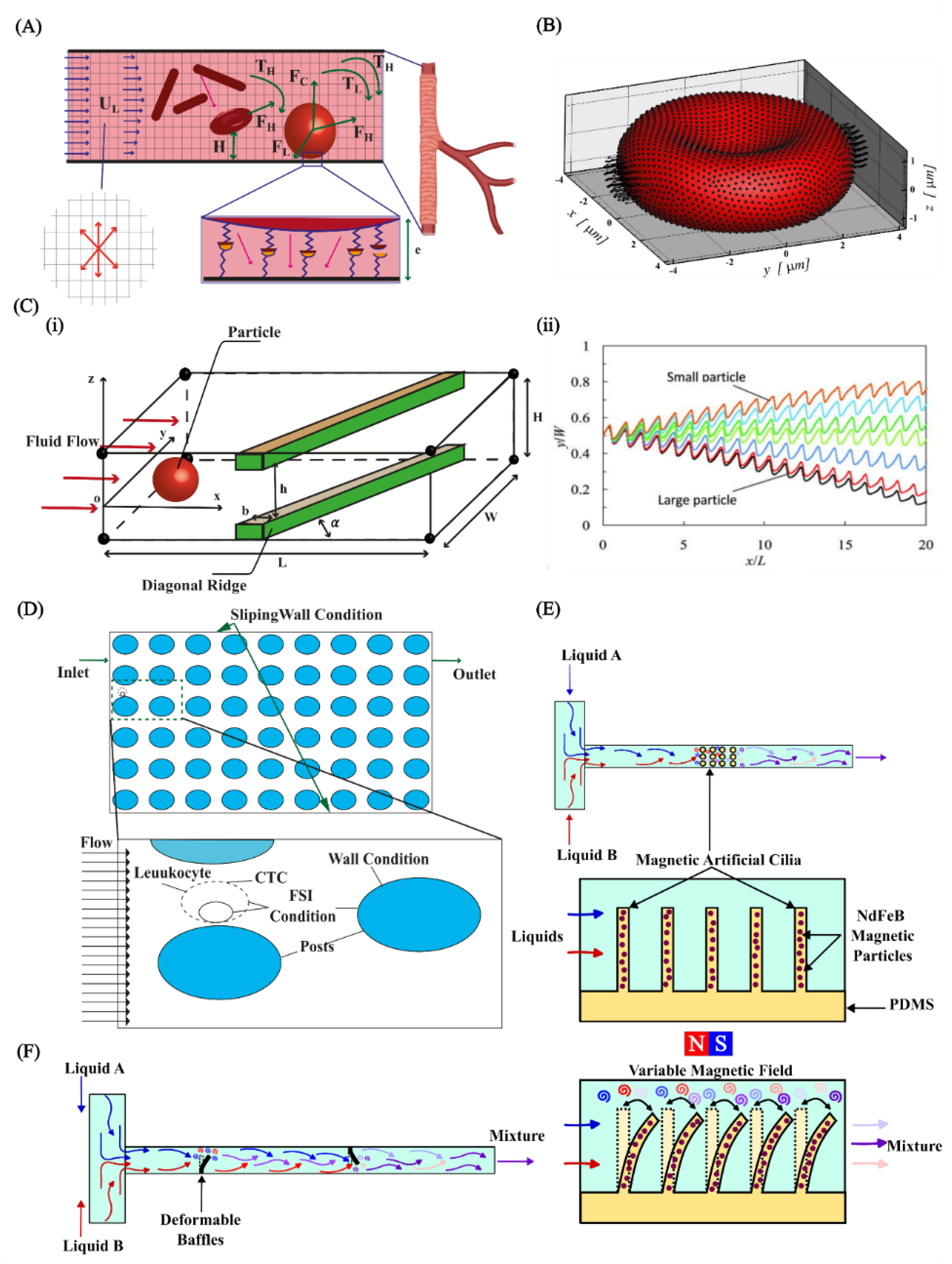 Preprints 108025 g011