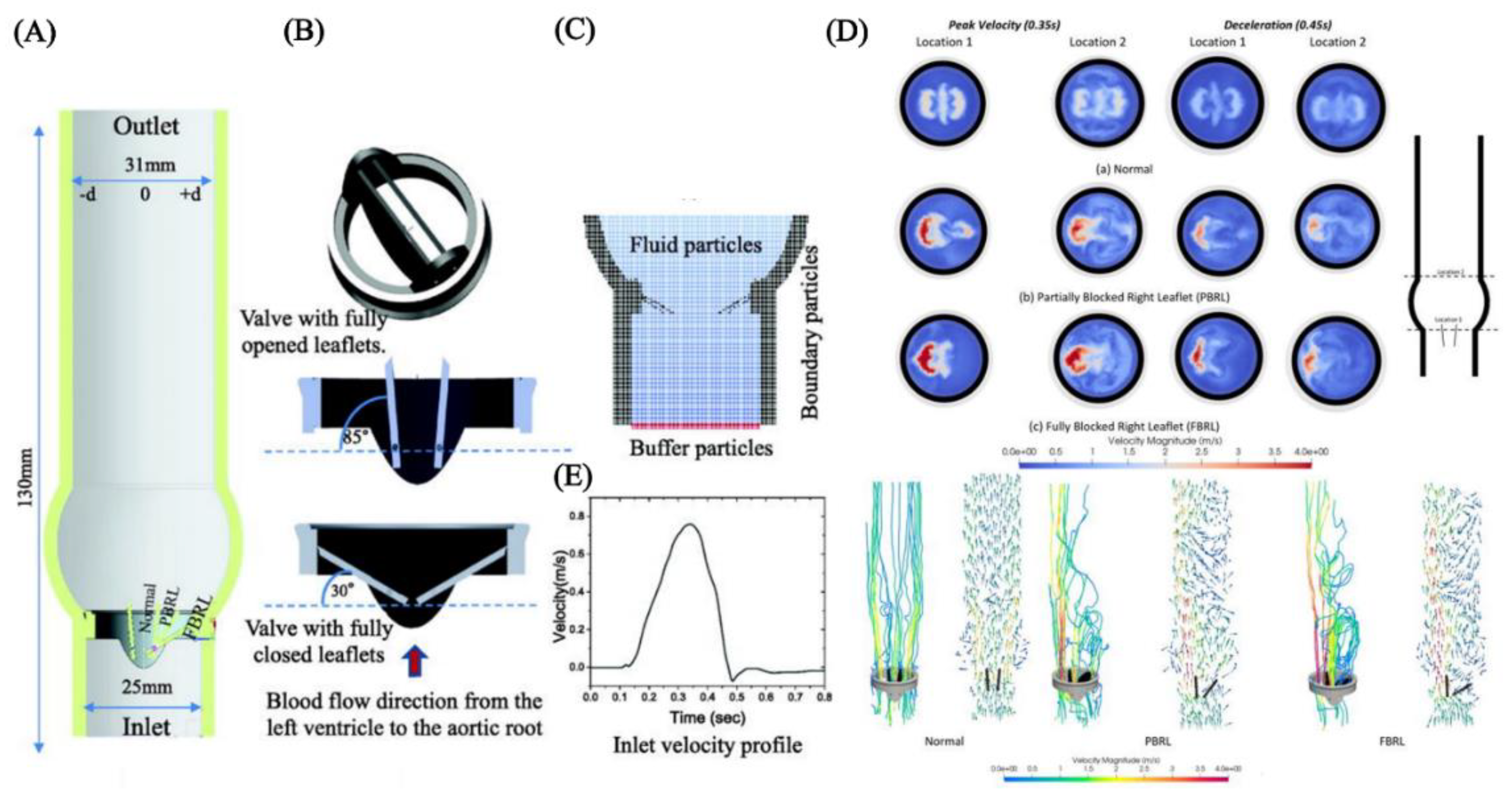 Preprints 108025 g012