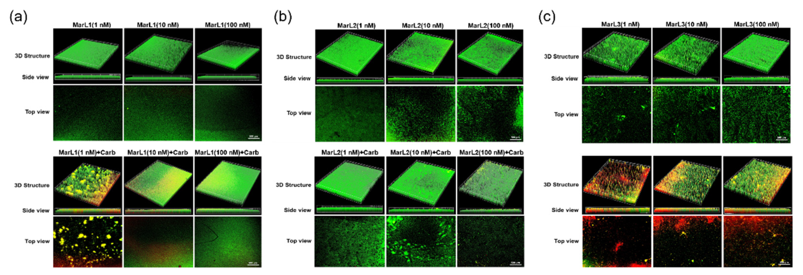 Preprints 97404 g005