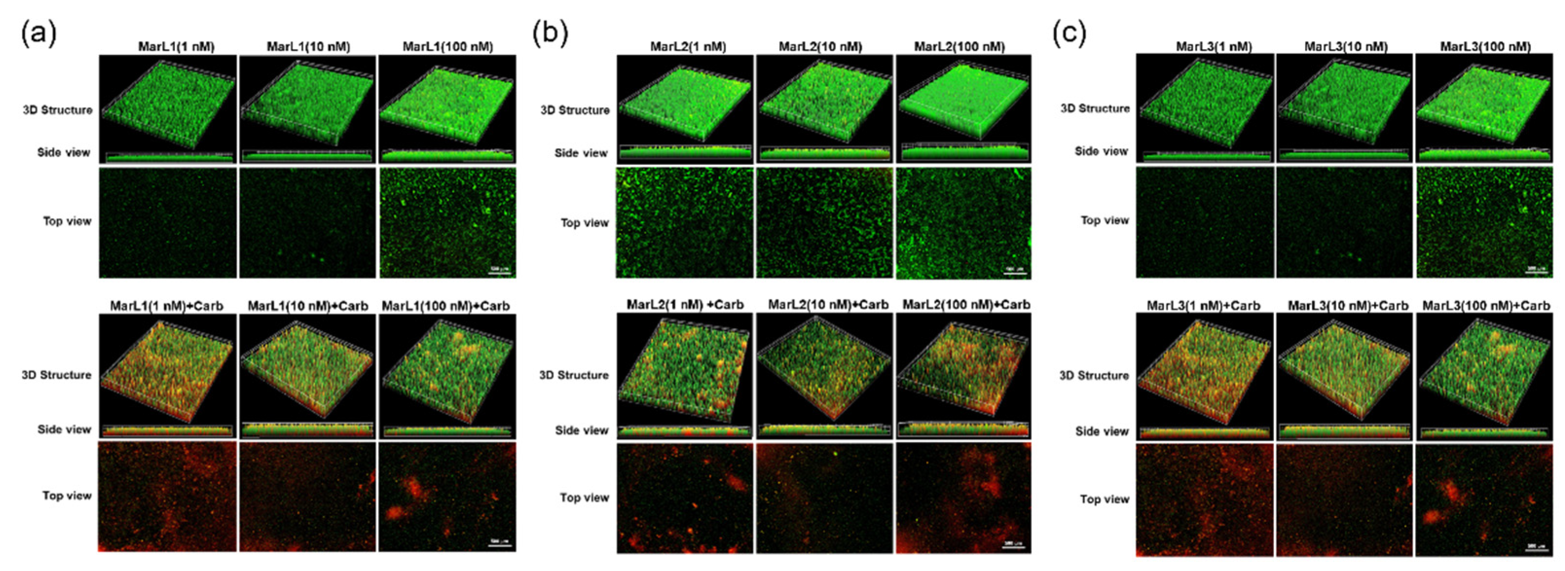 Preprints 97404 g006