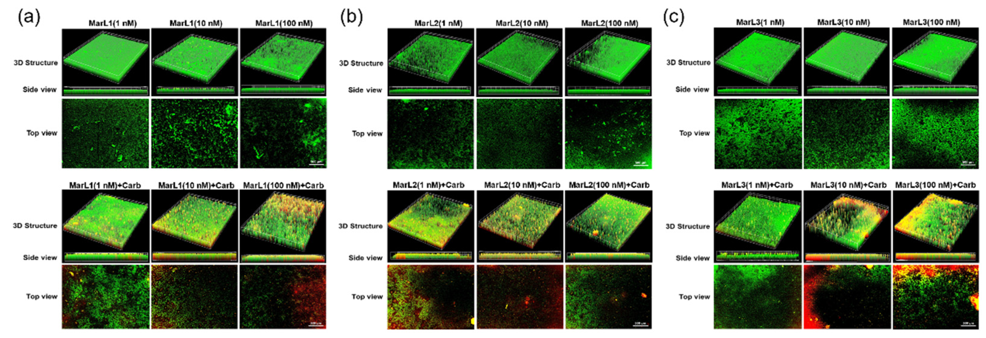 Preprints 97404 g007