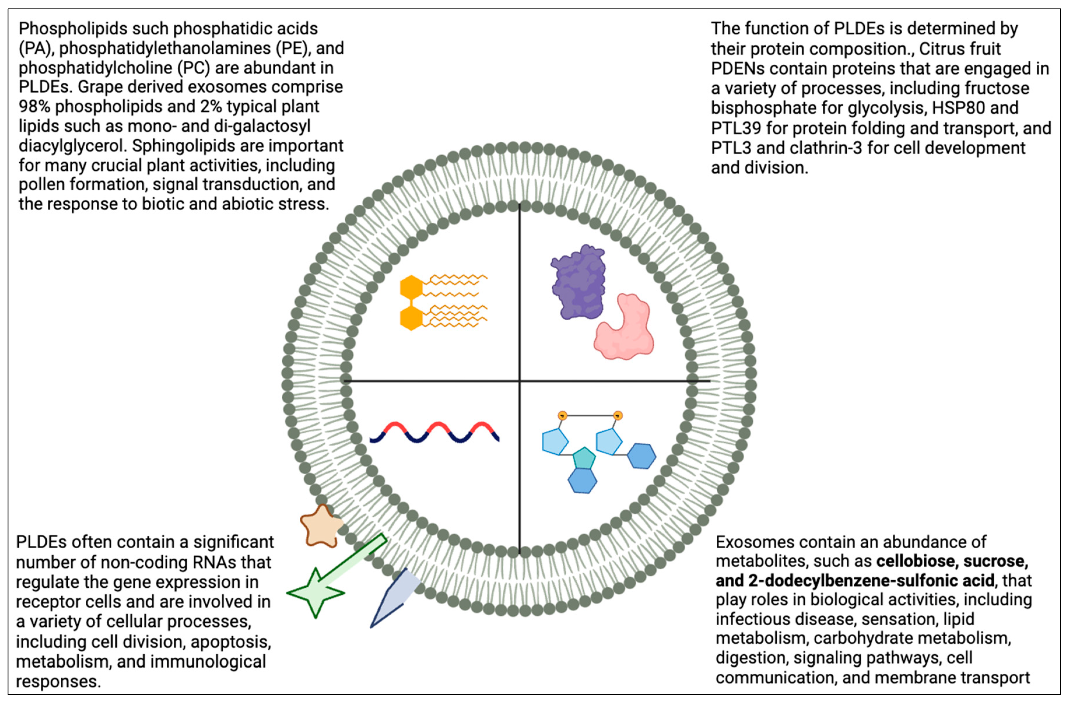 Preprints 105717 g002