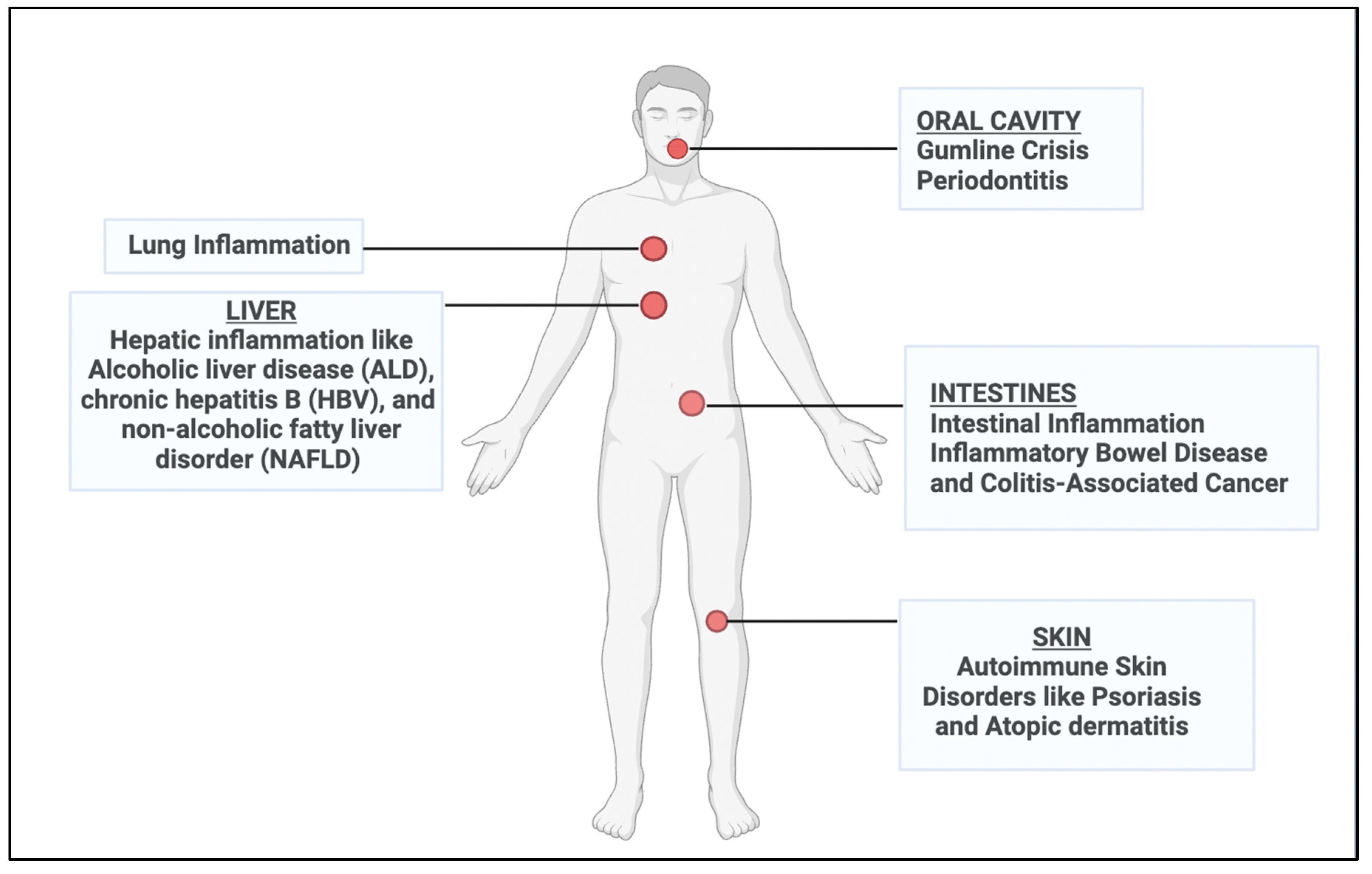 Preprints 105717 g003