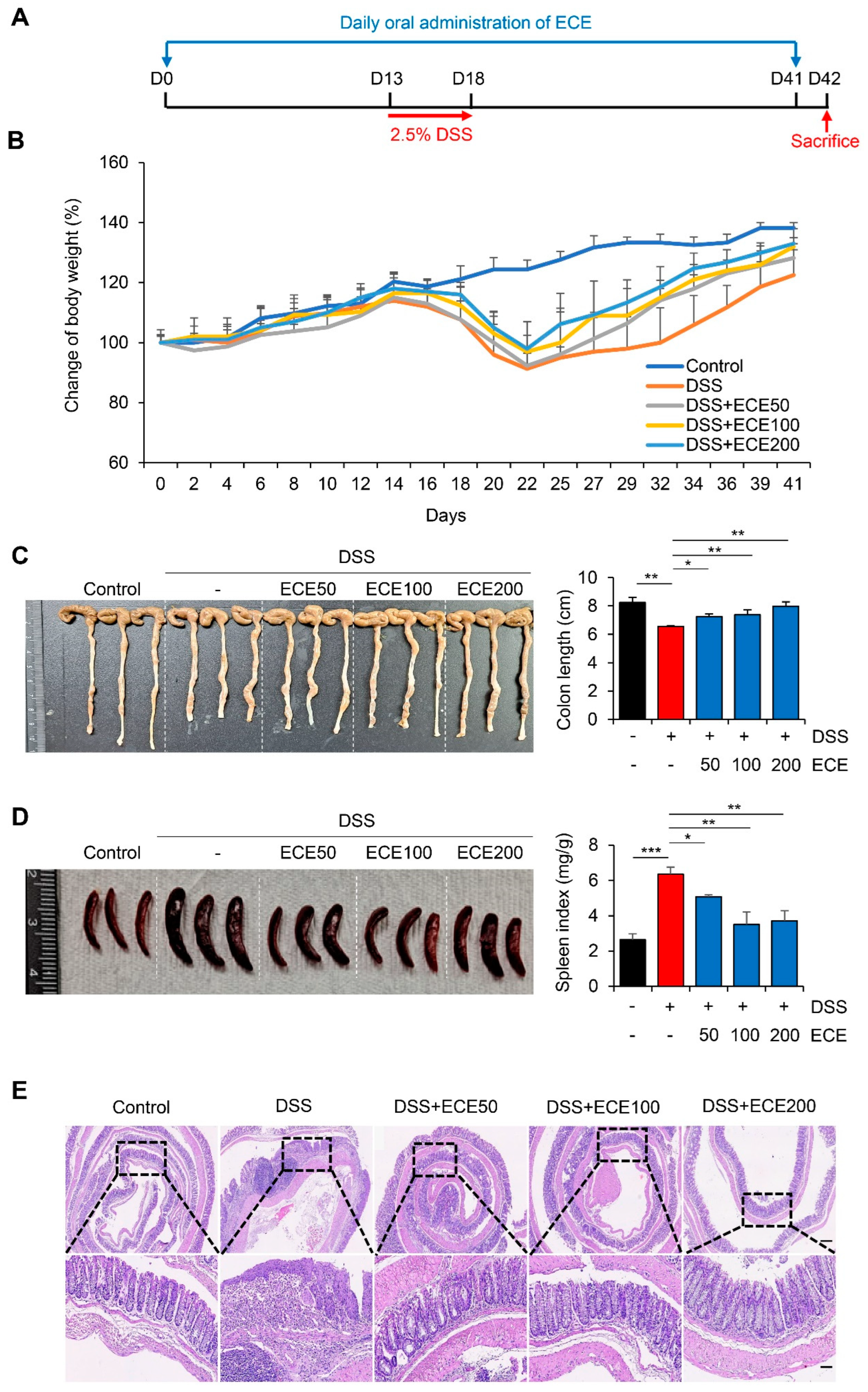 Preprints 91406 g001