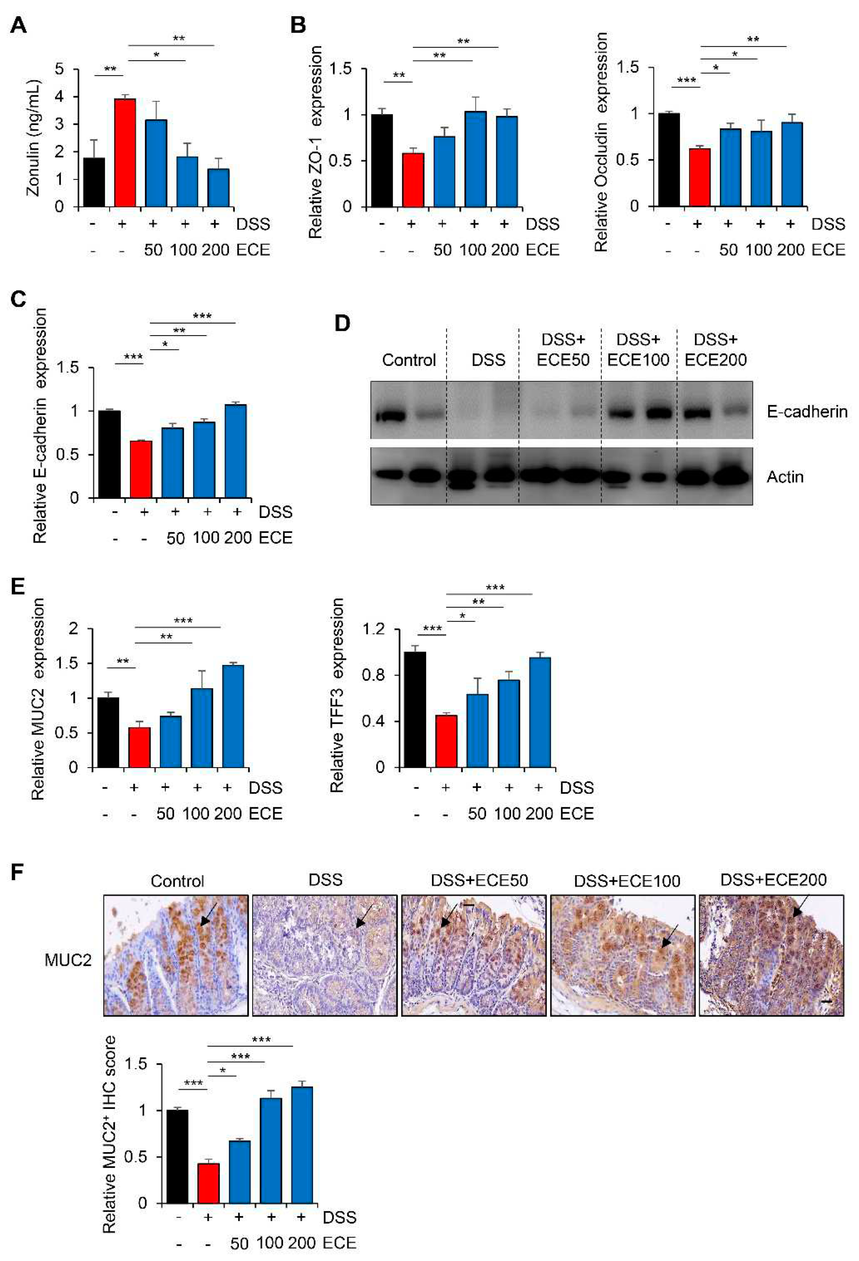 Preprints 91406 g004