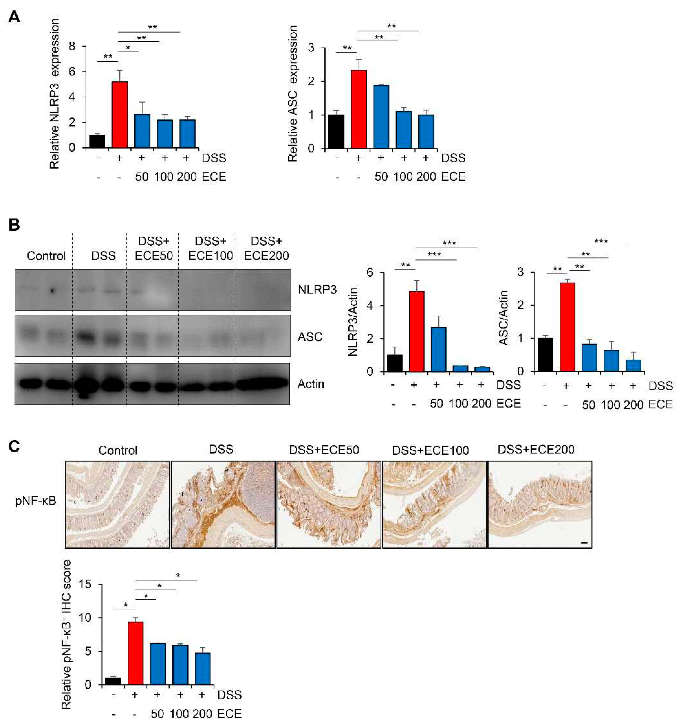 Preprints 91406 g005