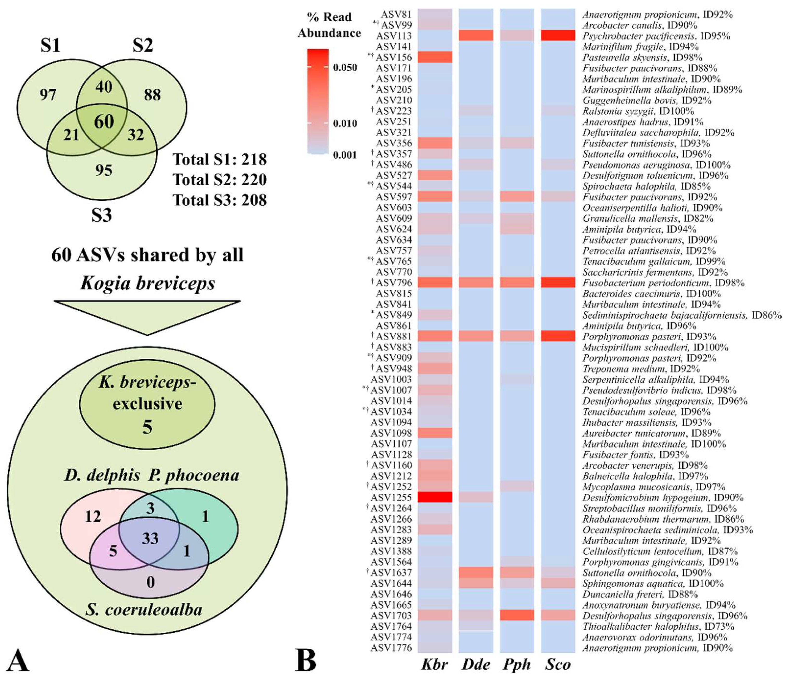 Preprints 120182 g002