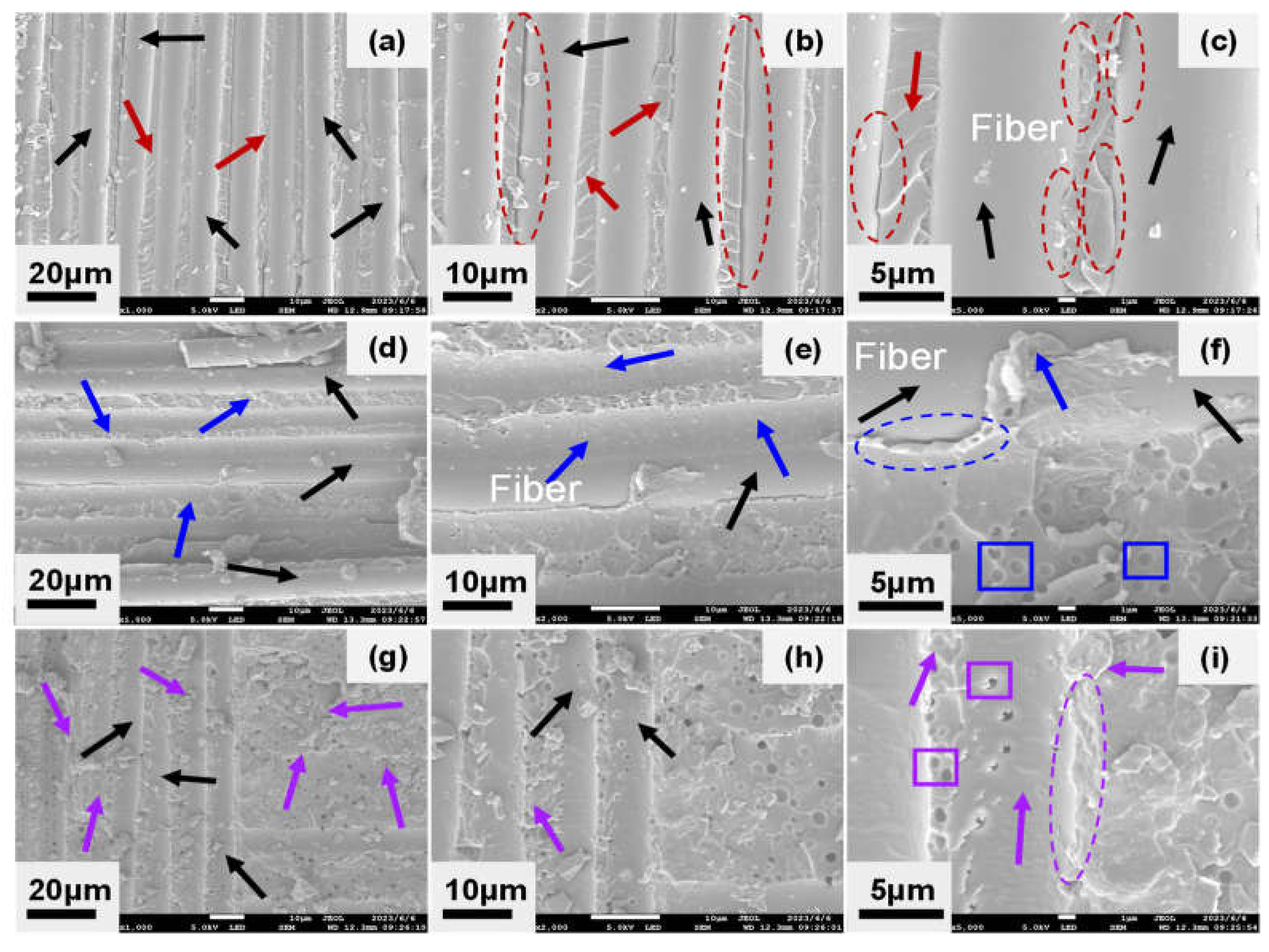 Preprints 82657 g006