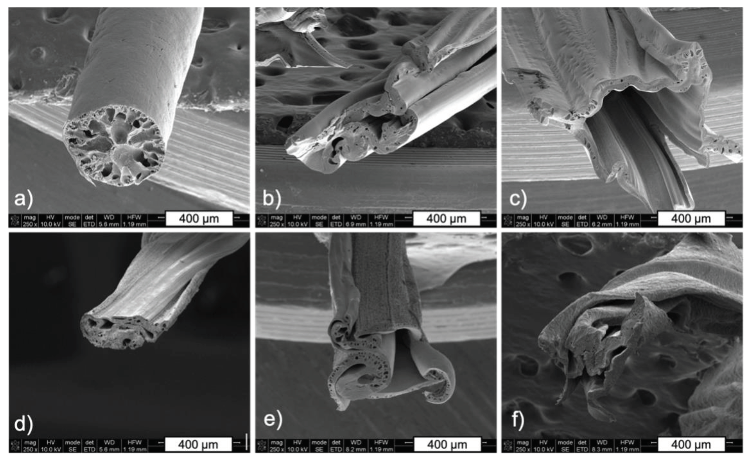 Preprints 99552 g009