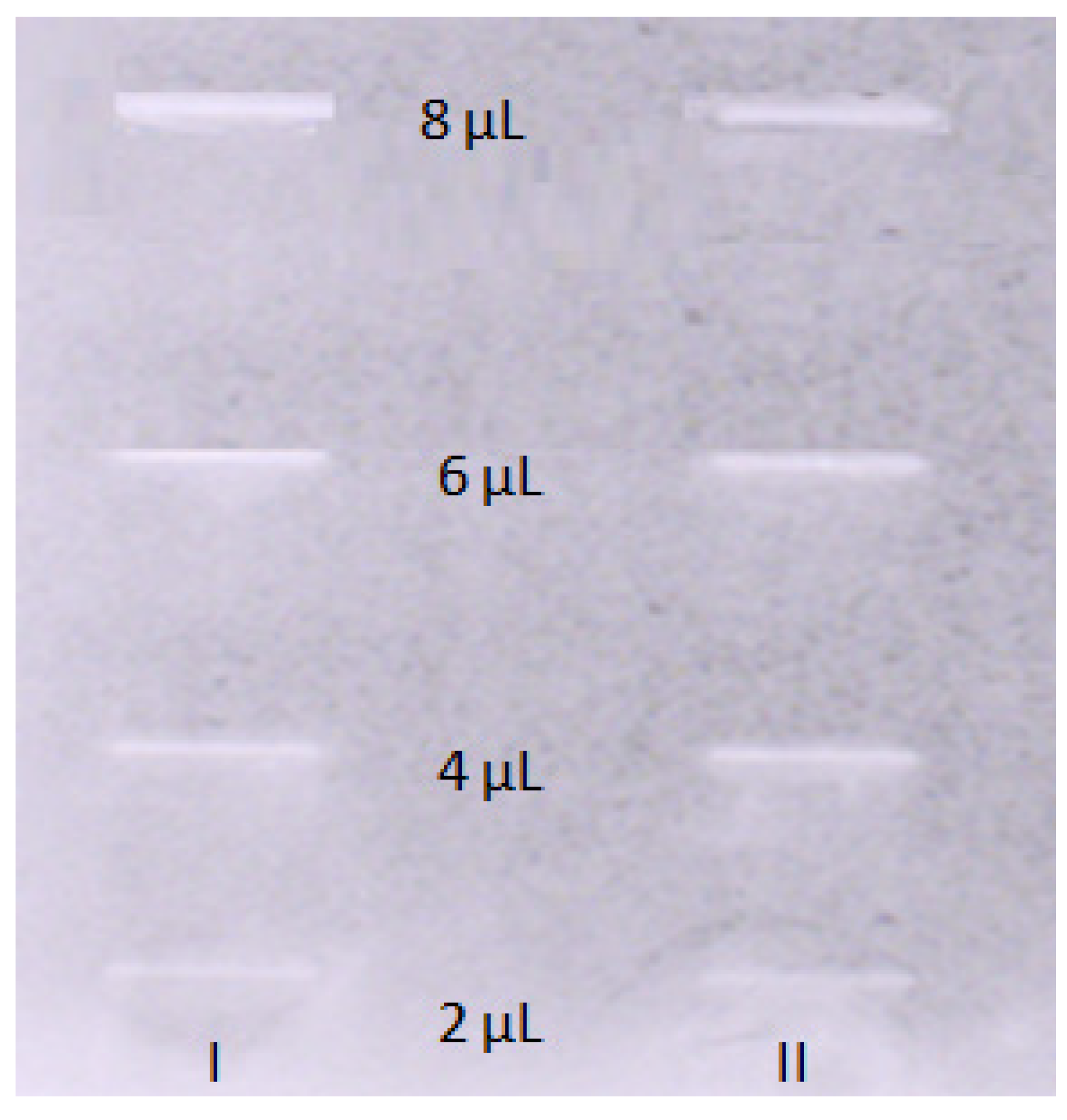 Preprints 82855 g003