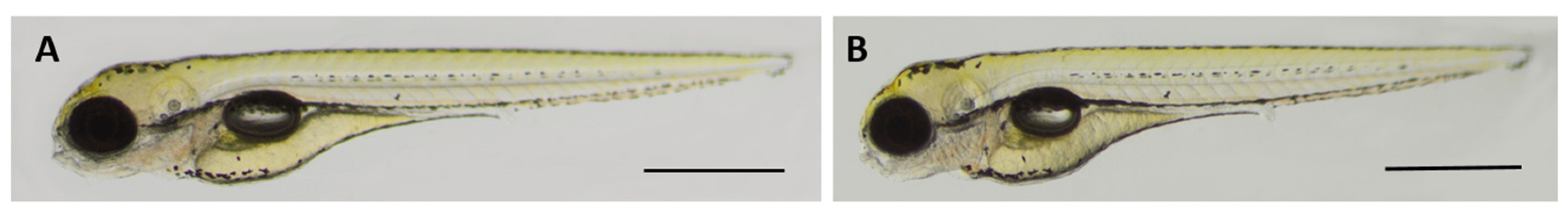 Preprints 82855 g007