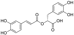 Preprints 74801 i010