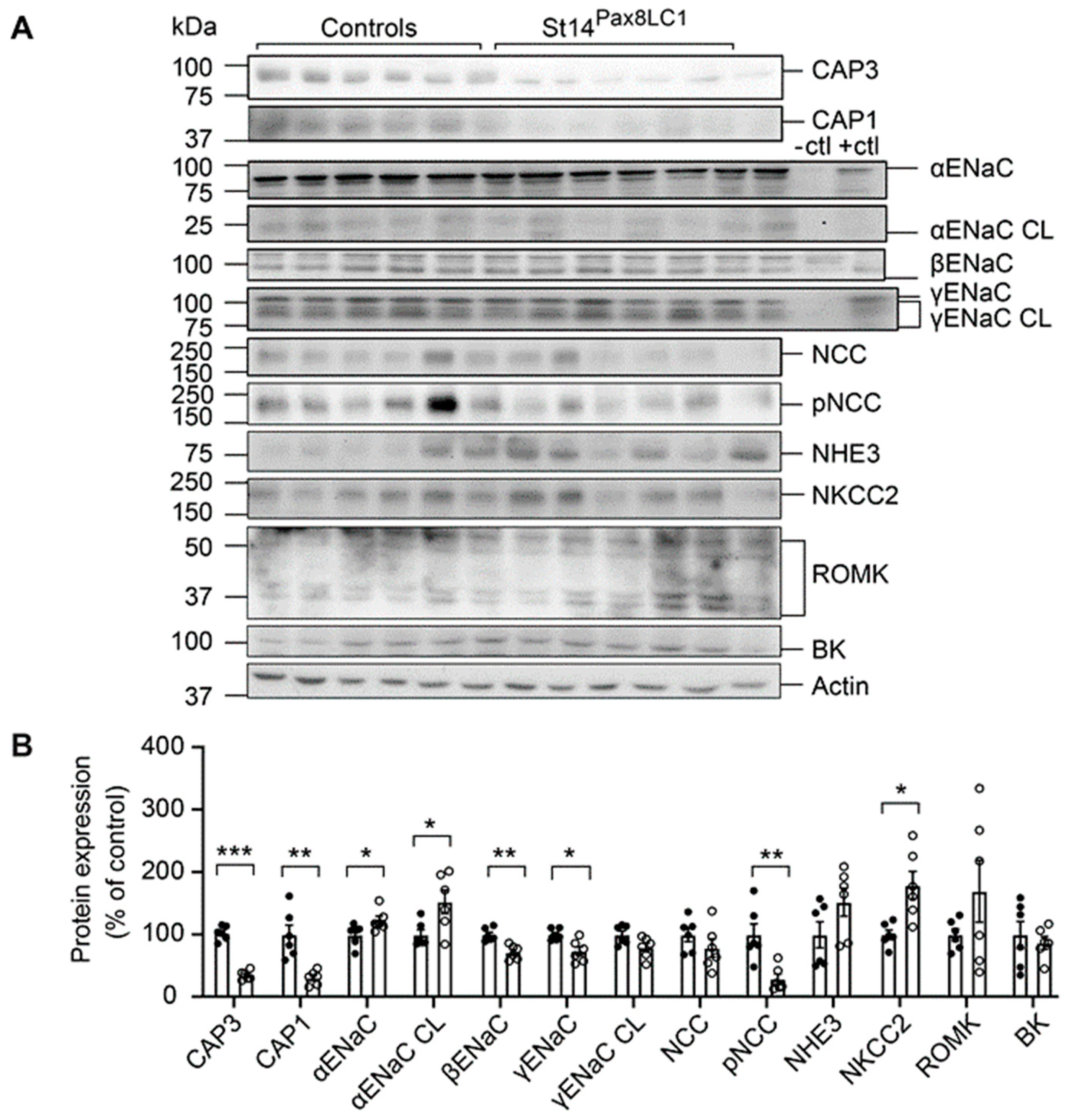 Preprints 82207 g002