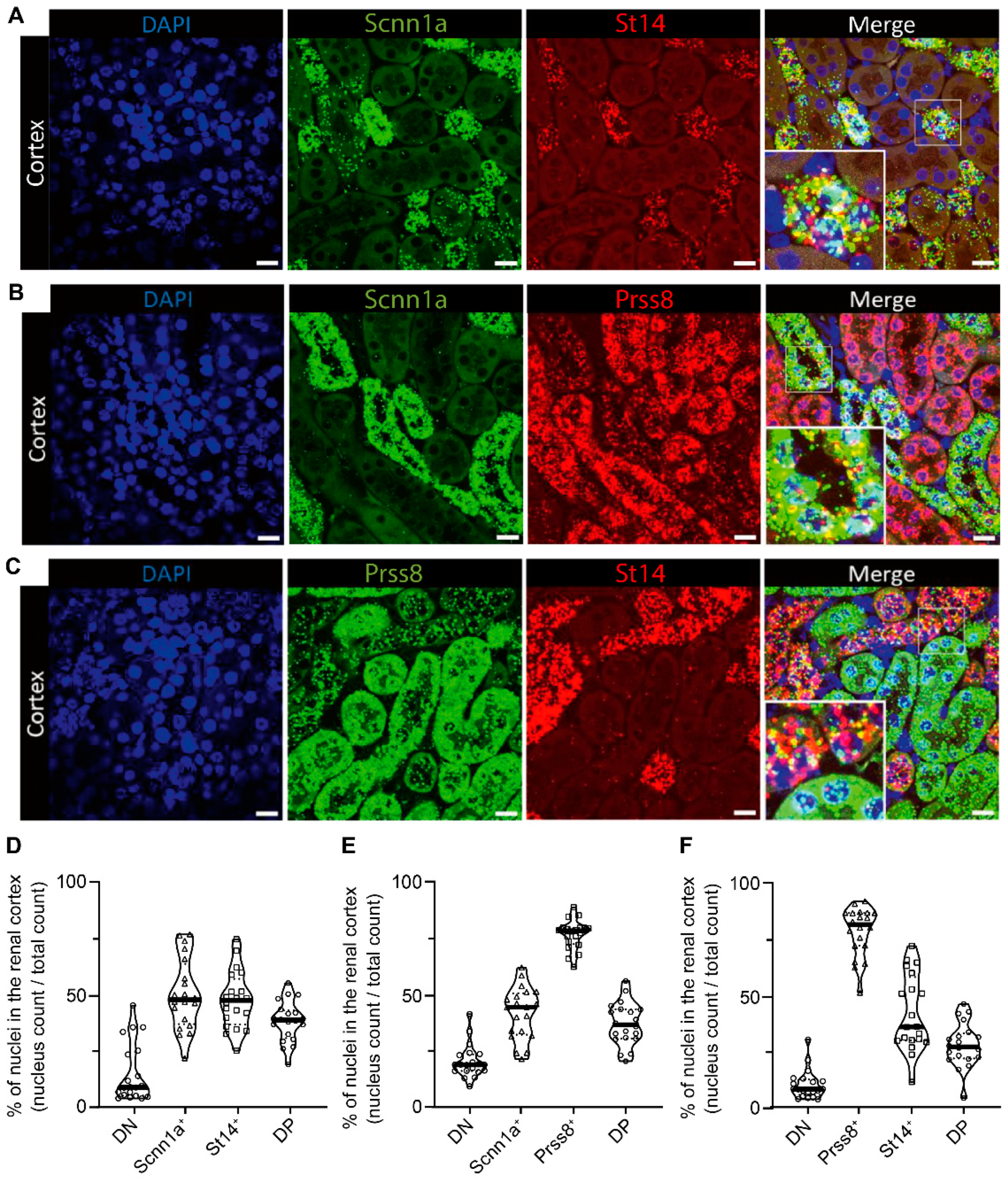 Preprints 82207 g003