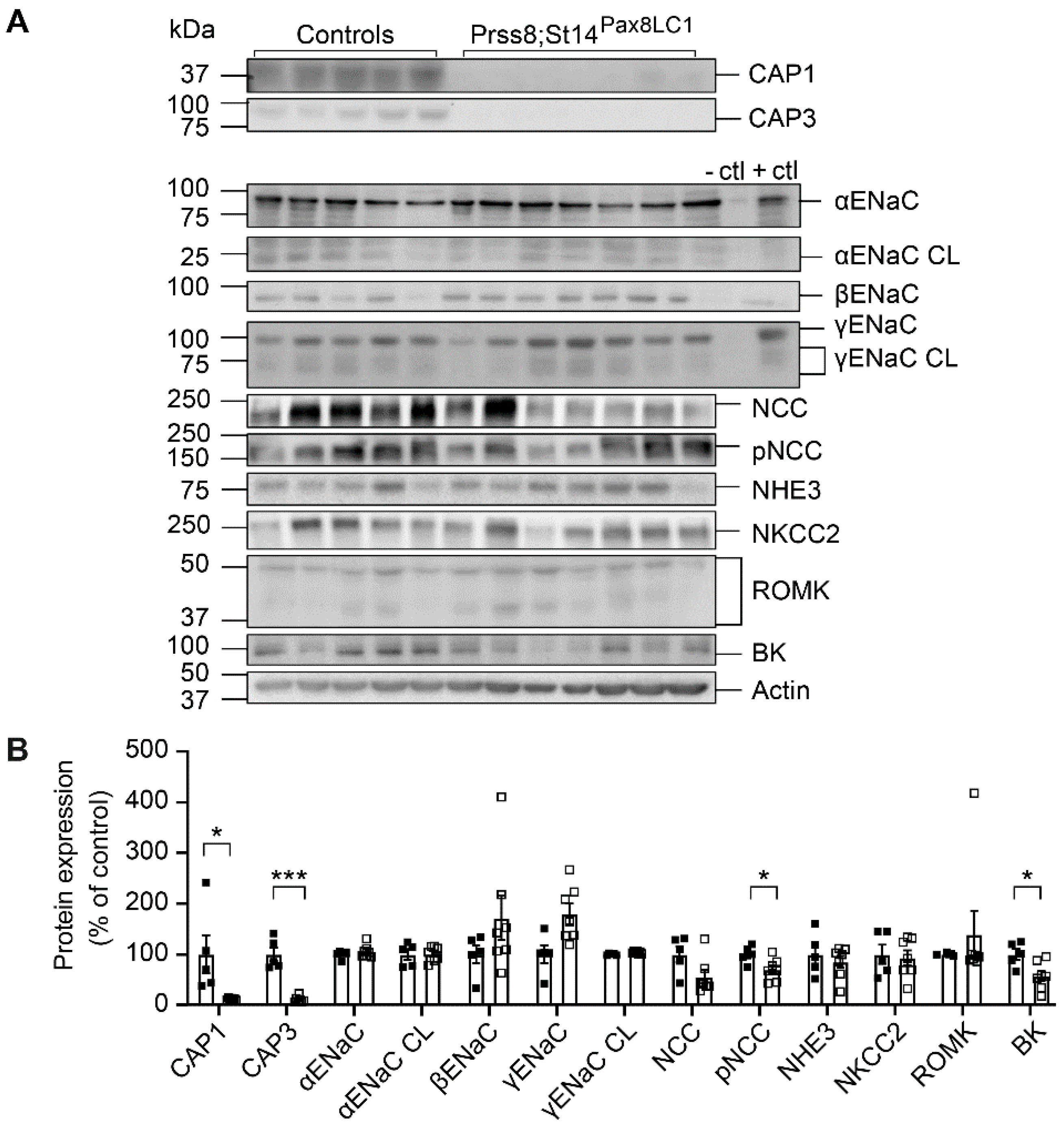 Preprints 82207 g005